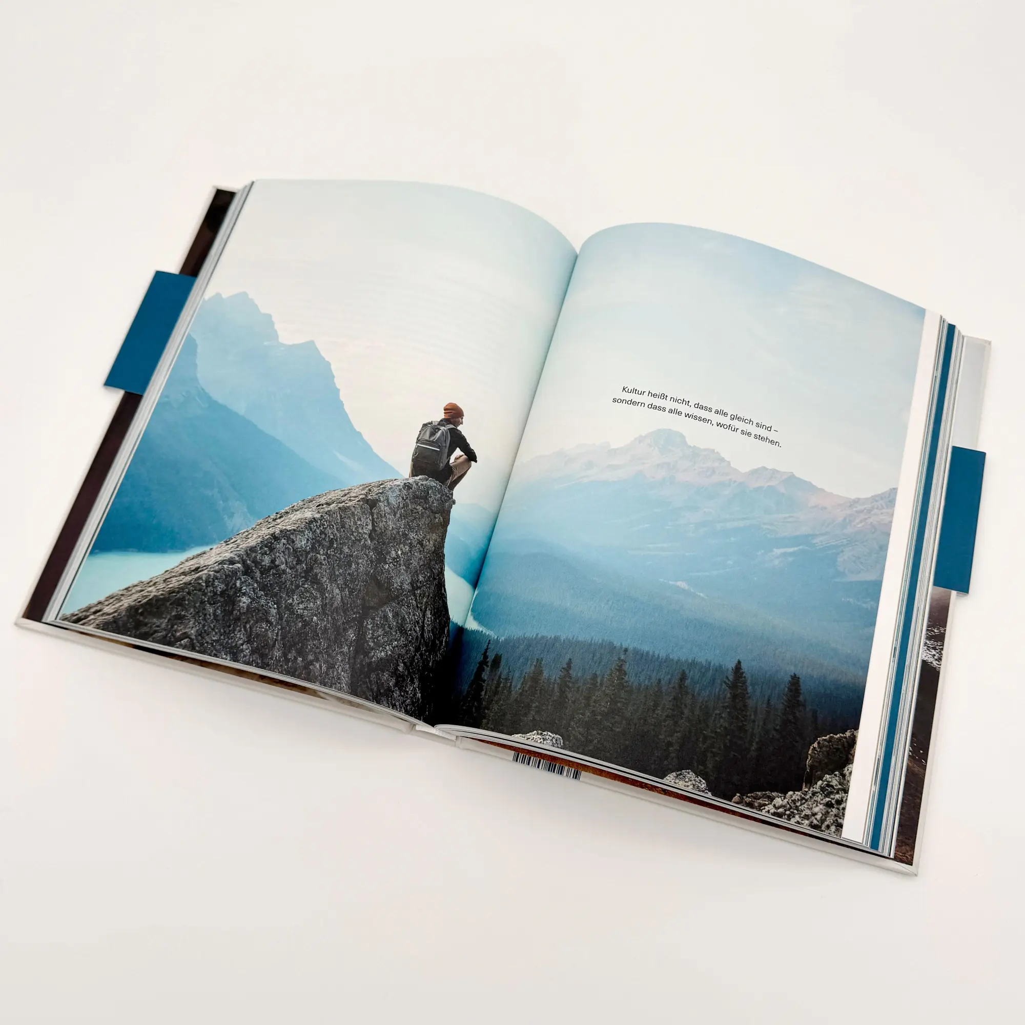Bild: 9783708808925 | DAS PRINZIP BIOGENA | Albert Schmidbauer | Buch | 240 S. | Deutsch