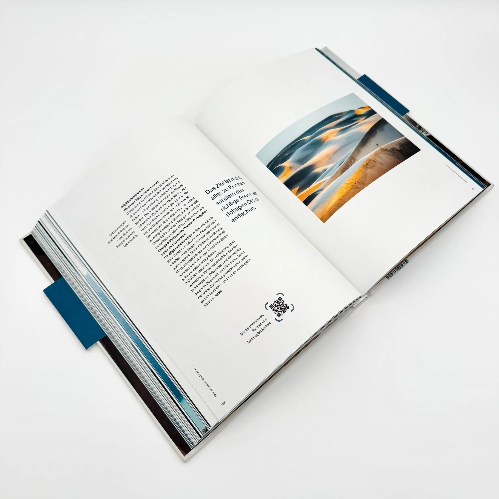 Bild: 9783708808925 | DAS PRINZIP BIOGENA | Albert Schmidbauer | Buch | 240 S. | Deutsch