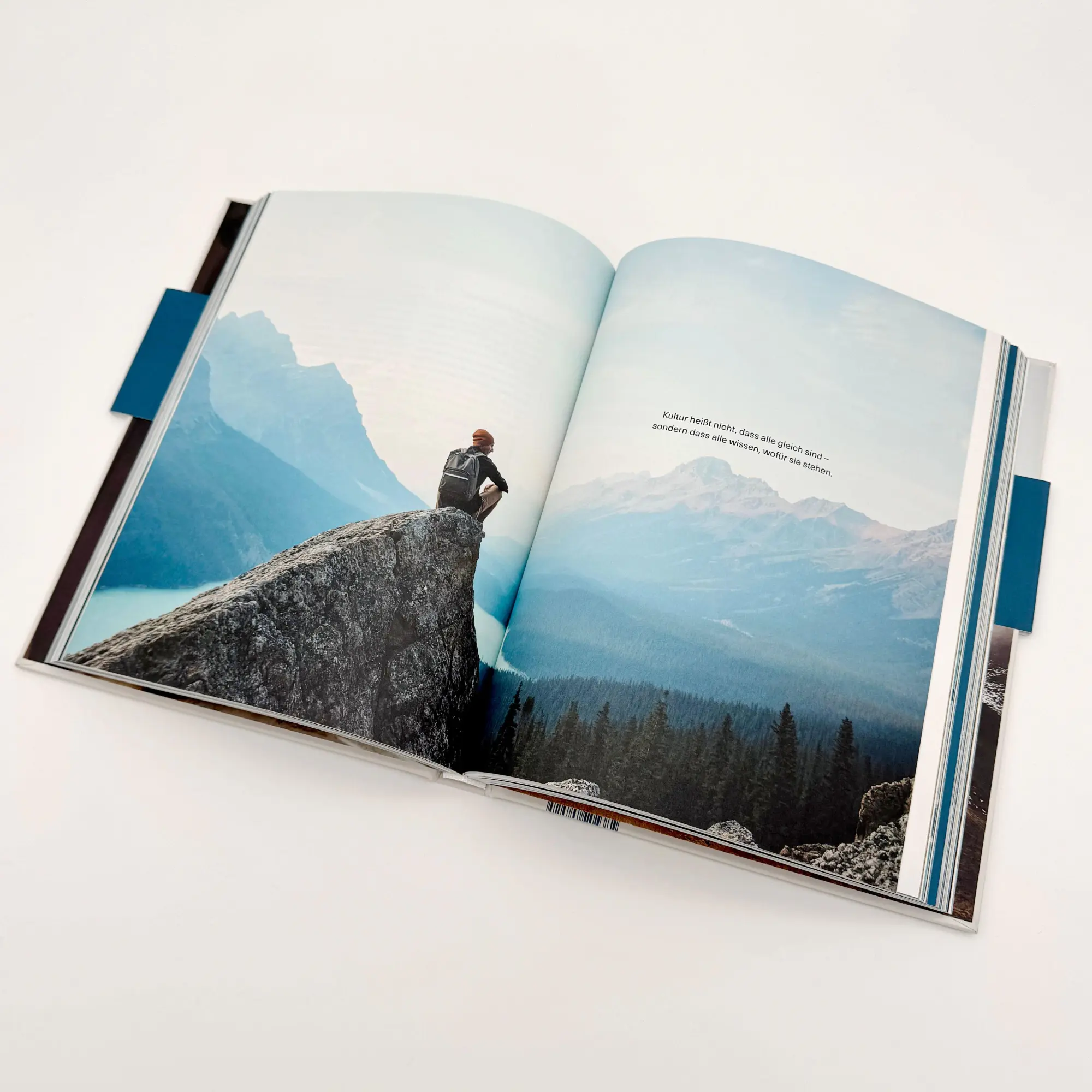 Bild: 9783708808925 | DAS PRINZIP BIOGENA | Albert Schmidbauer | Buch | 240 S. | Deutsch