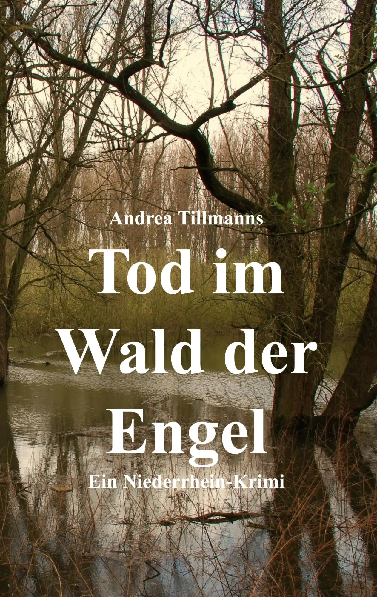 Cover: 9783819299025 | Tod im Wald der Engel | Ein Neuss-Krimi | Andrea Tillmanns | Buch