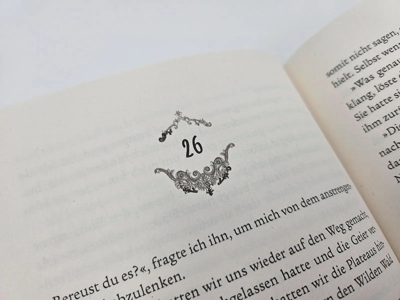 Bild: 9783492709125 | Night of Shadows and Flames - Die Ewige Nacht | Laura Labas | Buch