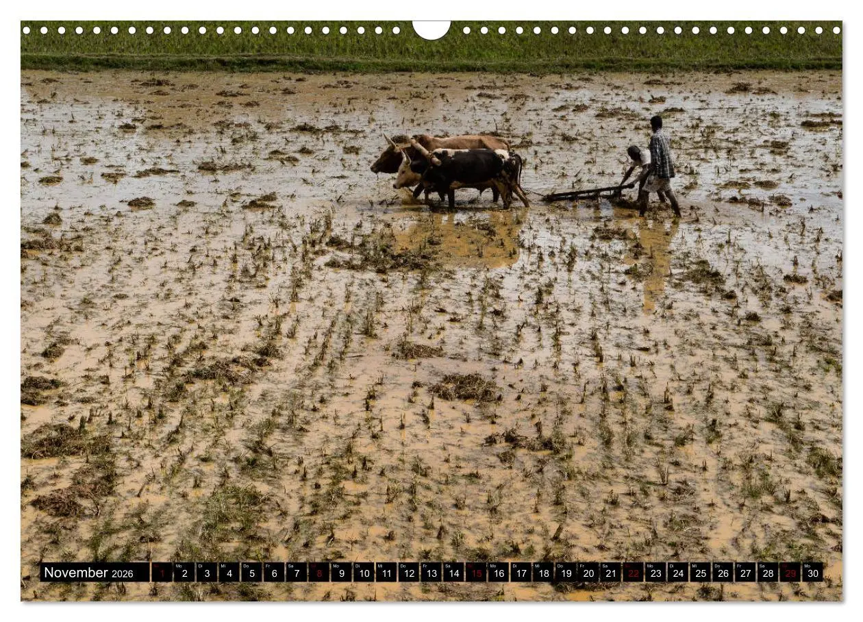 Bild: 9783457839225 | Madagaskar - Impressionen von Rolf Dietz (Wandkalender 2026 DIN A3...