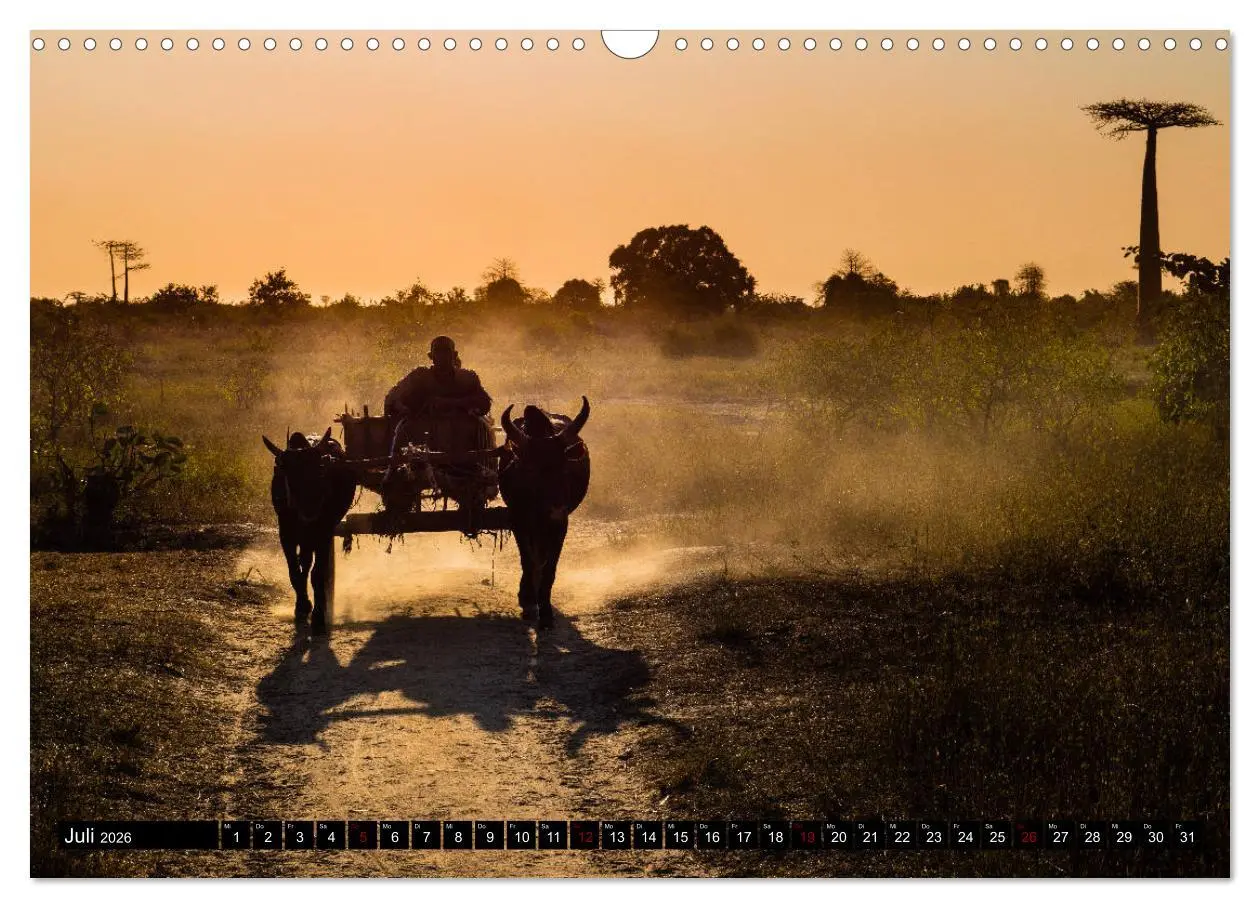 Bild: 9783457839225 | Madagaskar - Impressionen von Rolf Dietz (Wandkalender 2026 DIN A3...
