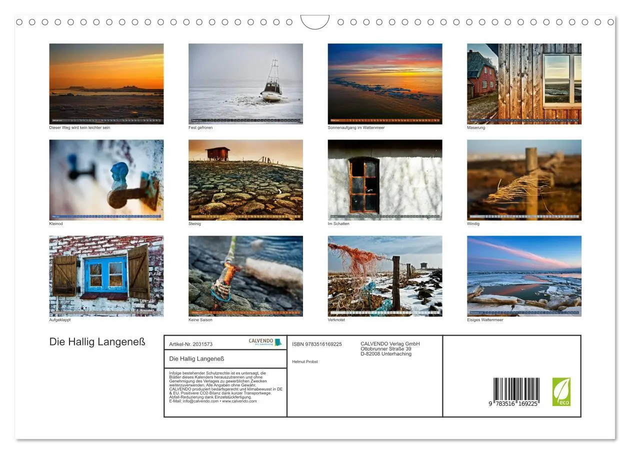 Bild: 9783516169225 | Die Hallig Langeneß (Wandkalender 2026 DIN A3 quer), CALVENDO...
