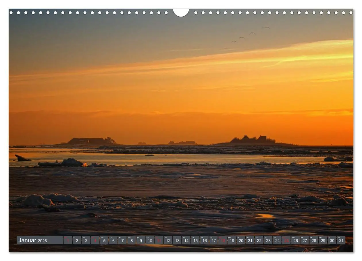 Bild: 9783516169225 | Die Hallig Langeneß (Wandkalender 2026 DIN A3 quer), CALVENDO...