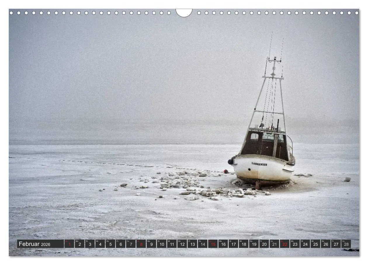 Bild: 9783516169225 | Die Hallig Langeneß (Wandkalender 2026 DIN A3 quer), CALVENDO...