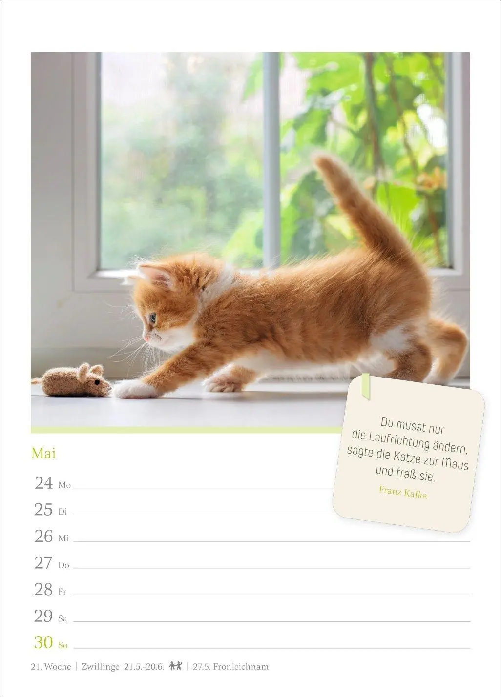 Bild: 9783840039225 | Katzenglück Wochenkalender 2027 - mit Zitaten | Harenberg | Kalender