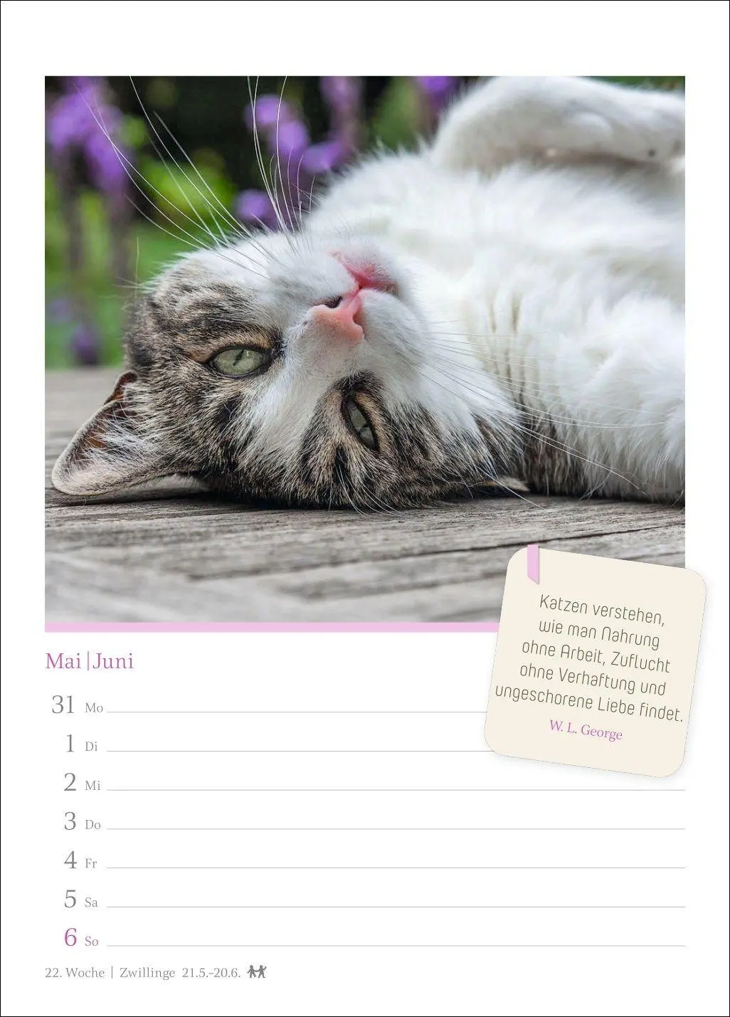 Bild: 9783840039225 | Katzenglück Wochenkalender 2027 - mit Zitaten | Harenberg | Kalender