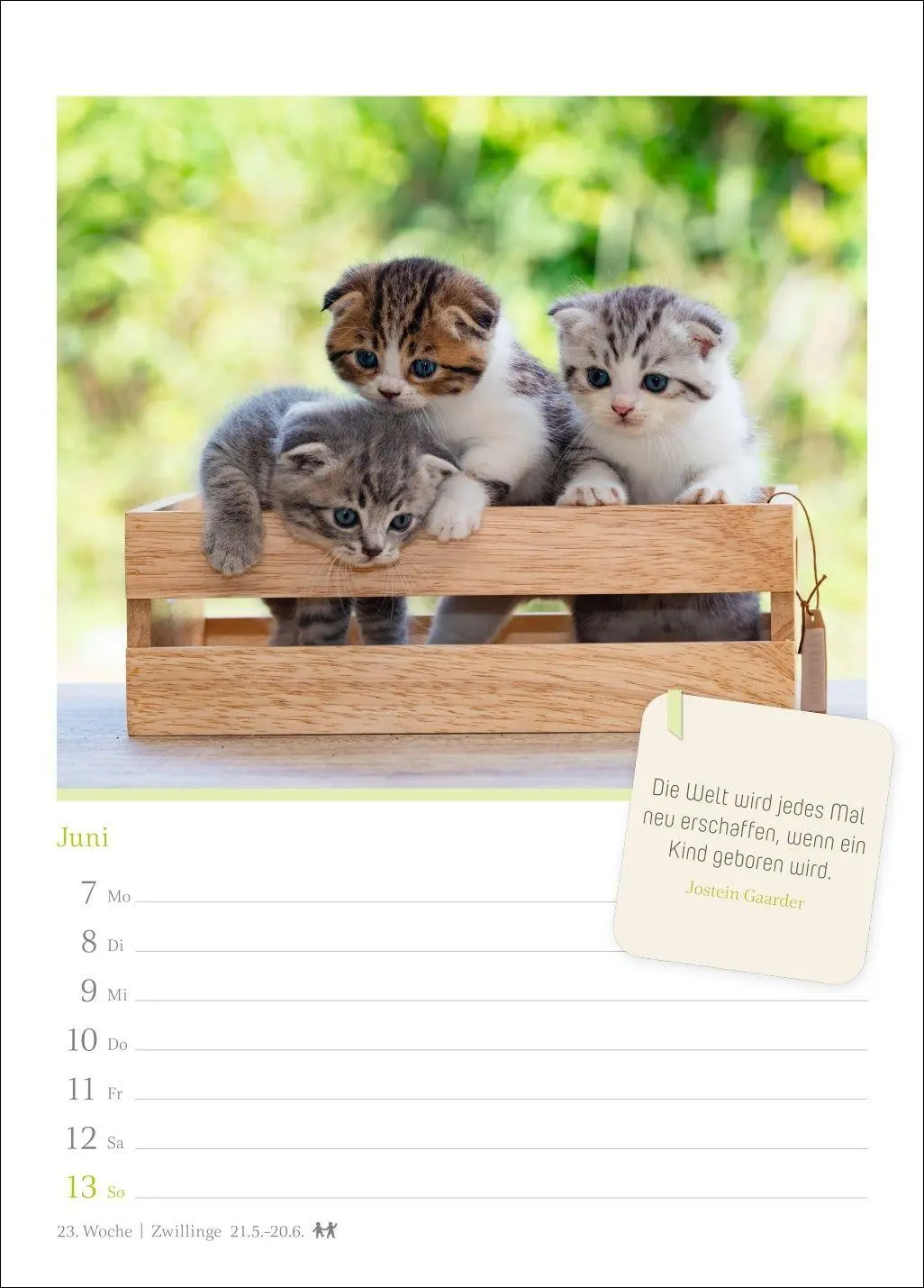 Bild: 9783840039225 | Katzenglück Wochenkalender 2027 - mit Zitaten | Harenberg | Kalender