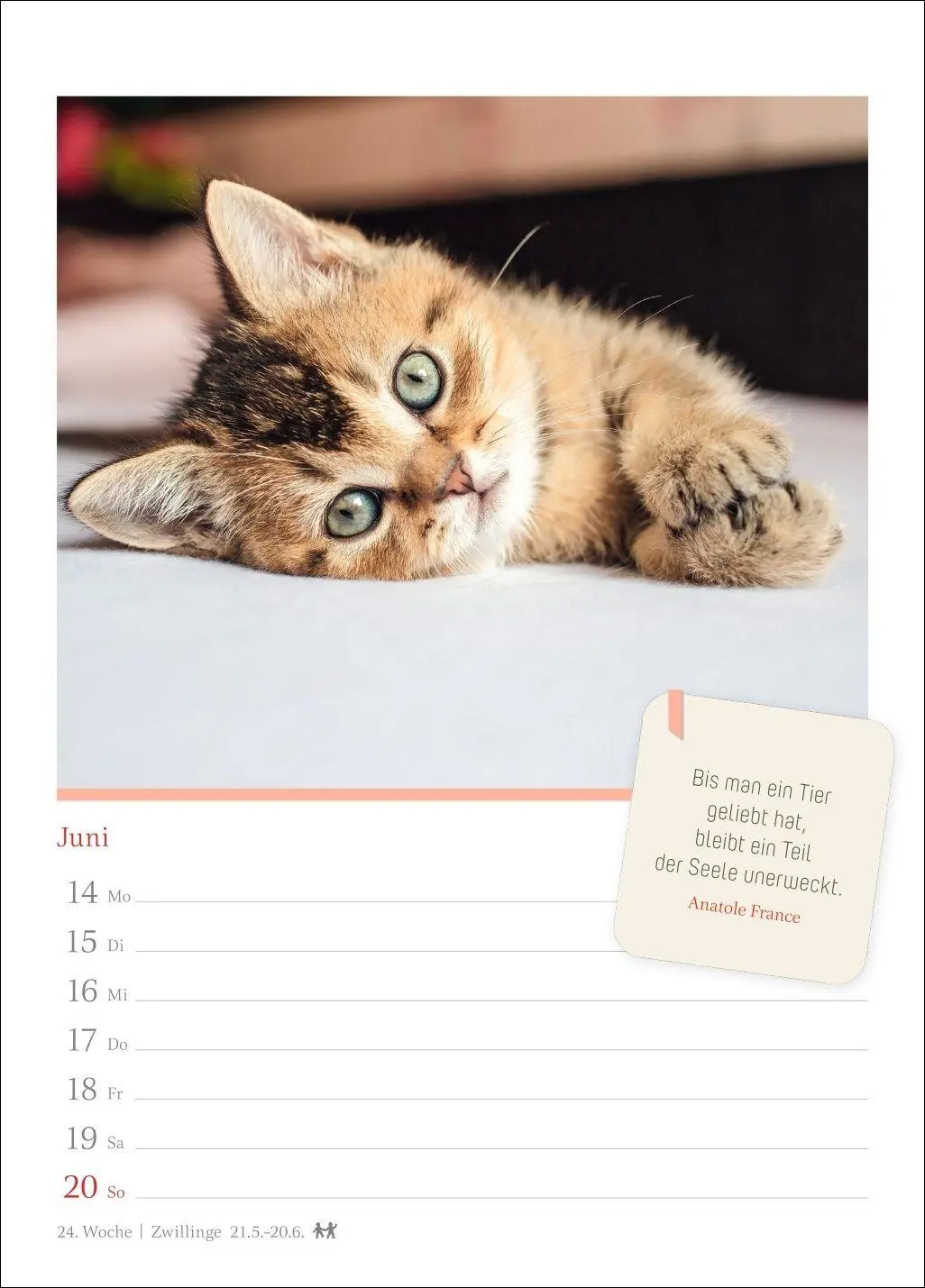 Bild: 9783840039225 | Katzenglück Wochenkalender 2027 - mit Zitaten | Harenberg | Kalender