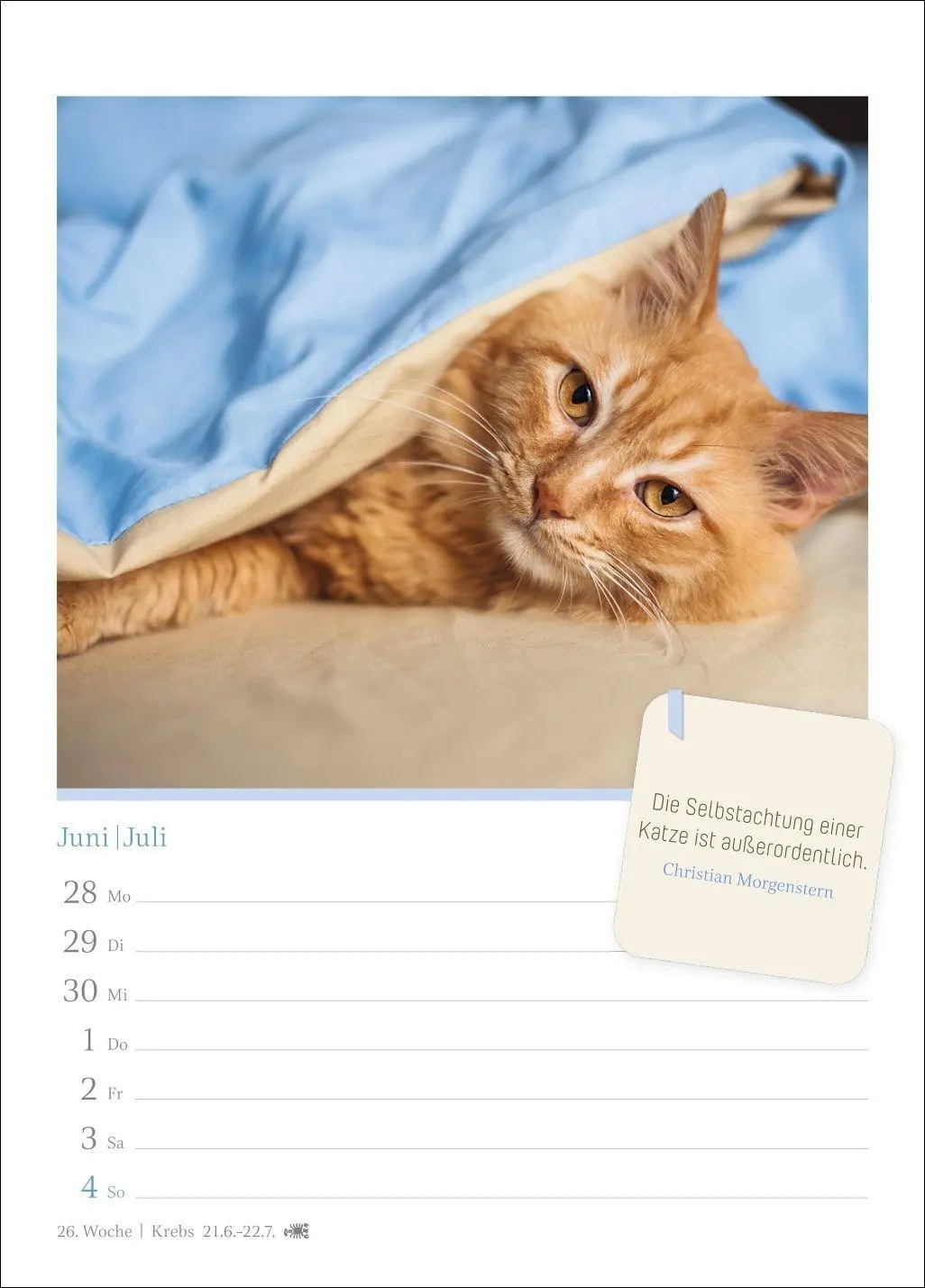 Bild: 9783840039225 | Katzenglück Wochenkalender 2027 - mit Zitaten | Harenberg | Kalender