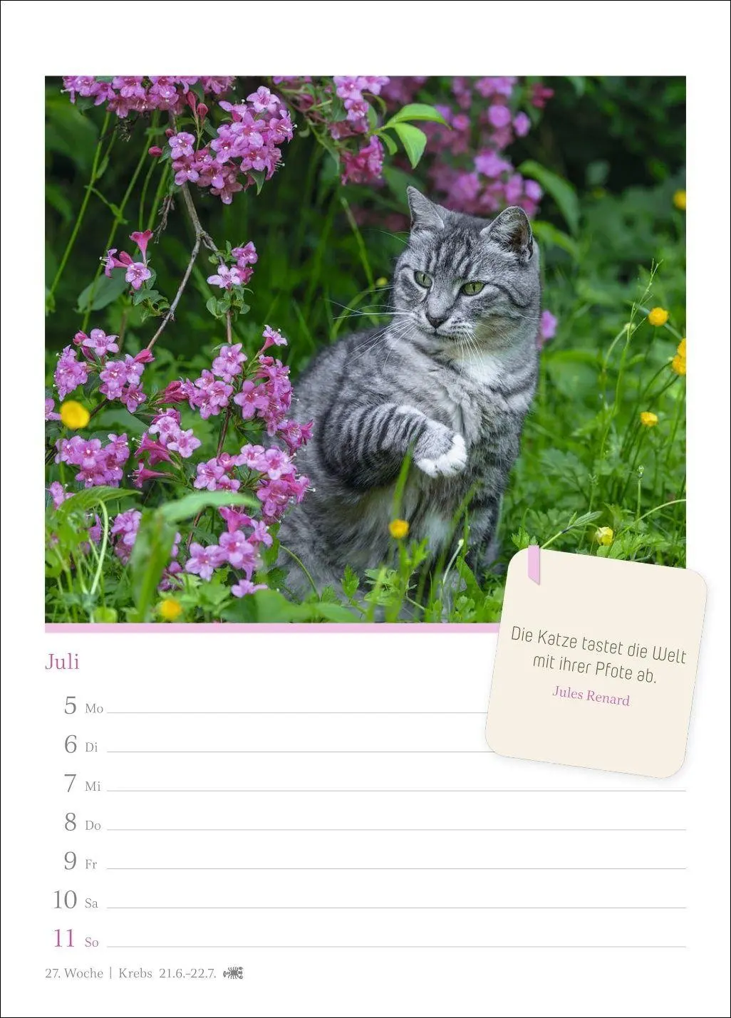 Bild: 9783840039225 | Katzenglück Wochenkalender 2027 - mit Zitaten | Harenberg | Kalender