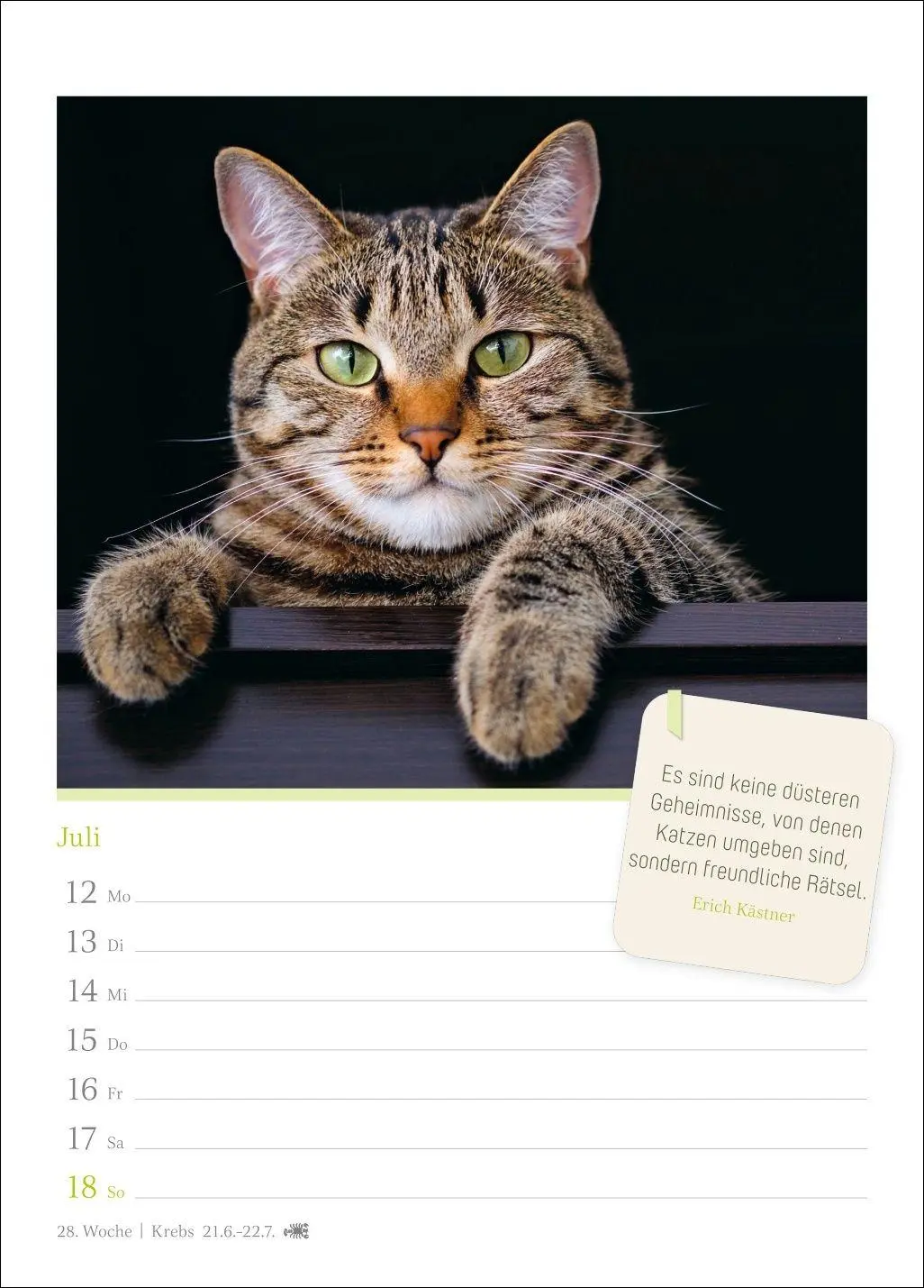 Bild: 9783840039225 | Katzenglück Wochenkalender 2027 - mit Zitaten | Harenberg | Kalender
