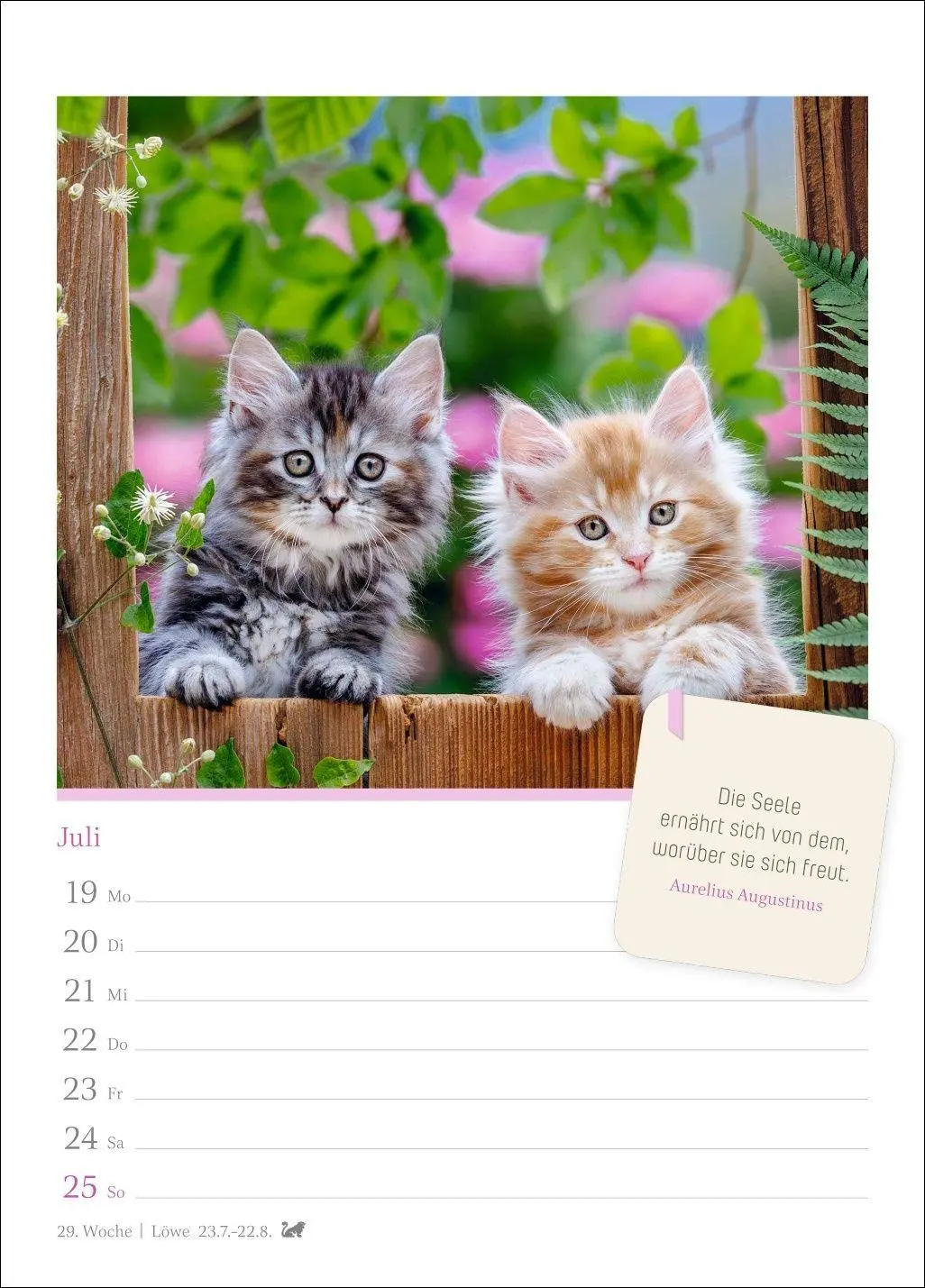 Bild: 9783840039225 | Katzenglück Wochenkalender 2027 - mit Zitaten | Harenberg | Kalender