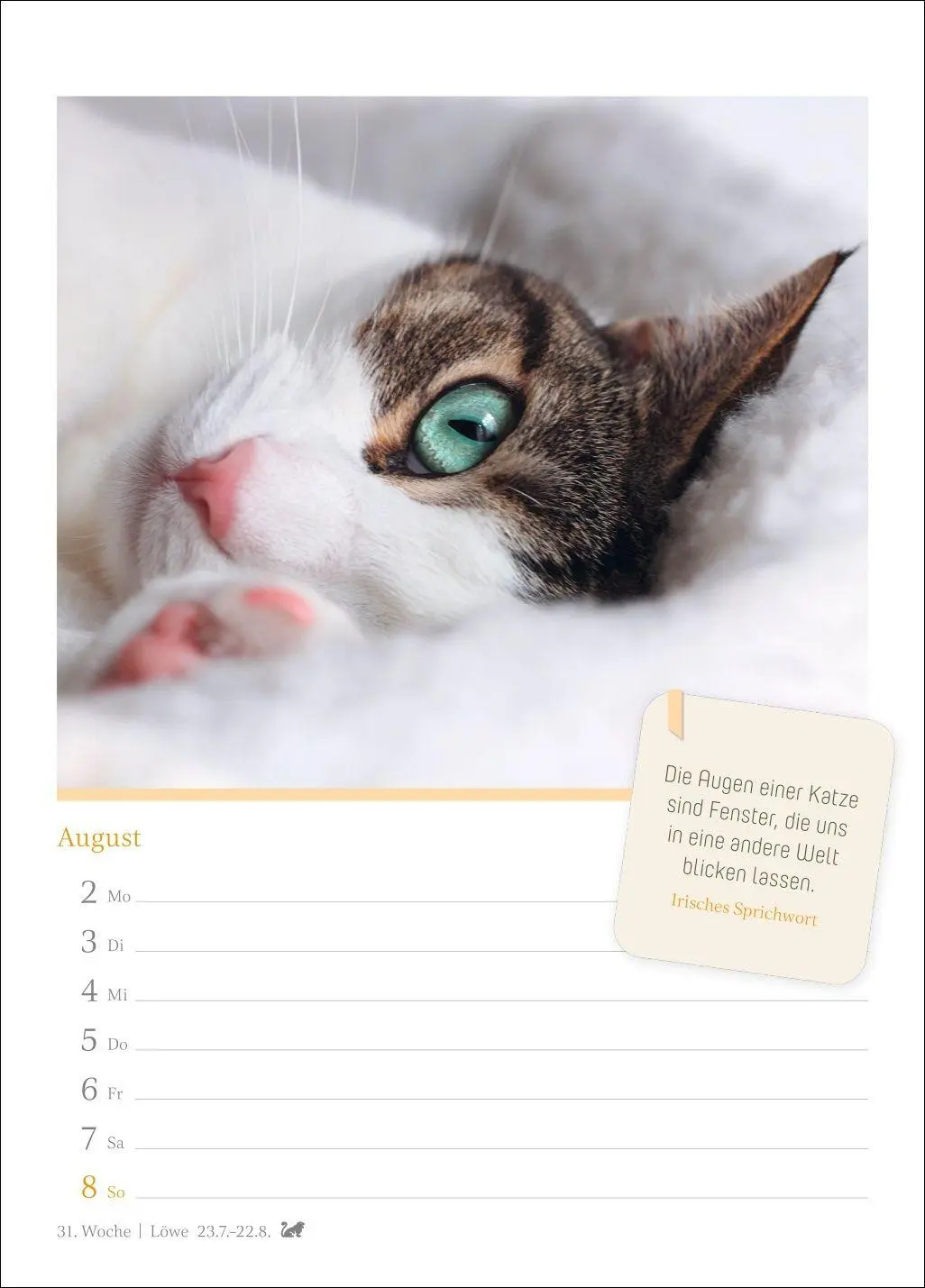Bild: 9783840039225 | Katzenglück Wochenkalender 2027 - mit Zitaten | Harenberg | Kalender