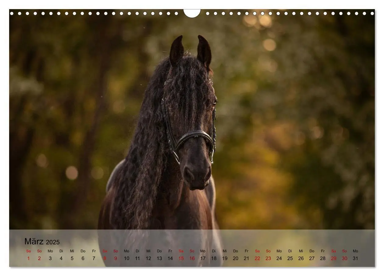 Bild: 9783435289325 | Pferdezauber 2025 (Wandkalender 2025 DIN A3 quer), CALVENDO...
