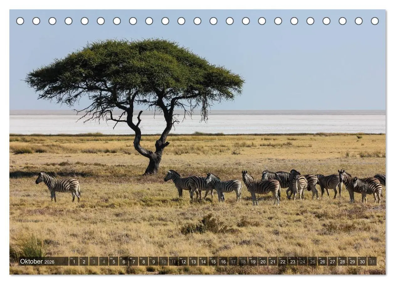 Bild: 9783516159325 | Wildes Namibia (Tischkalender 2026 DIN A5 quer), CALVENDO...