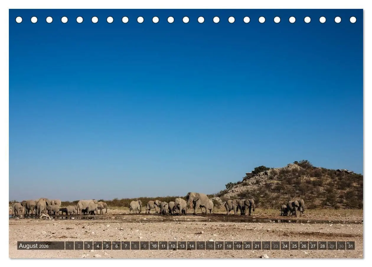 Bild: 9783516159325 | Wildes Namibia (Tischkalender 2026 DIN A5 quer), CALVENDO...