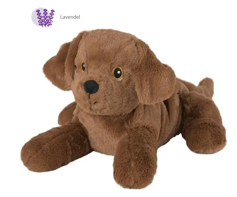 Cover: 4260394919425 | Warmies - Labrador Welpe | 2025 | Greenlife Value GmbH