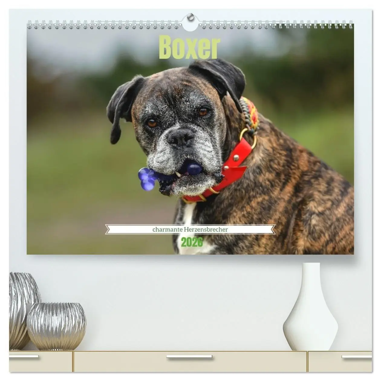 Cover: 9783516699425 | Boxer - charmante Herzensbrecher (hochwertiger Premium Wandkalender...