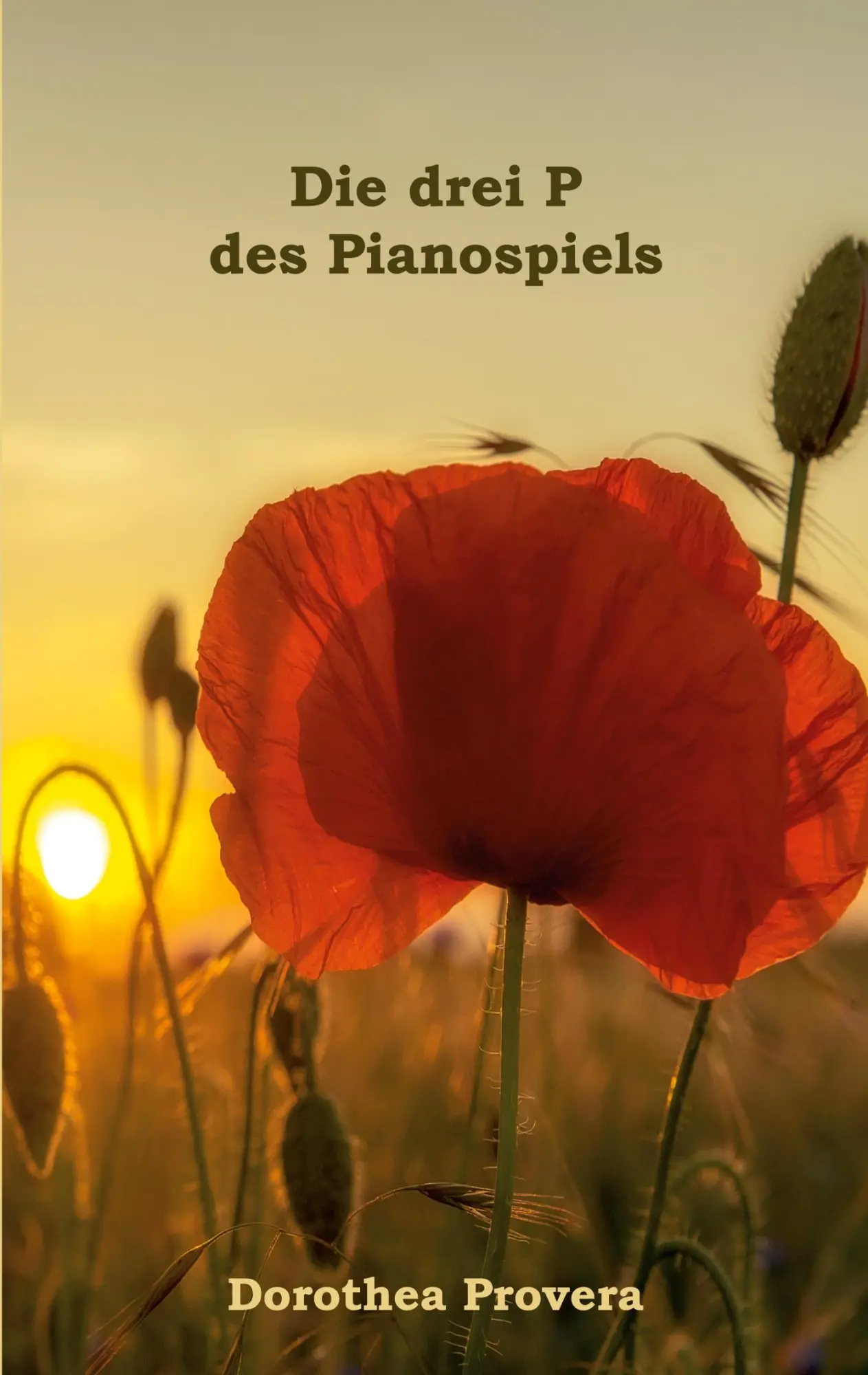 Cover: 9783695719525 | Die drei P des Pianospiels | Dorothea Provera | Taschenbuch | 110 S.