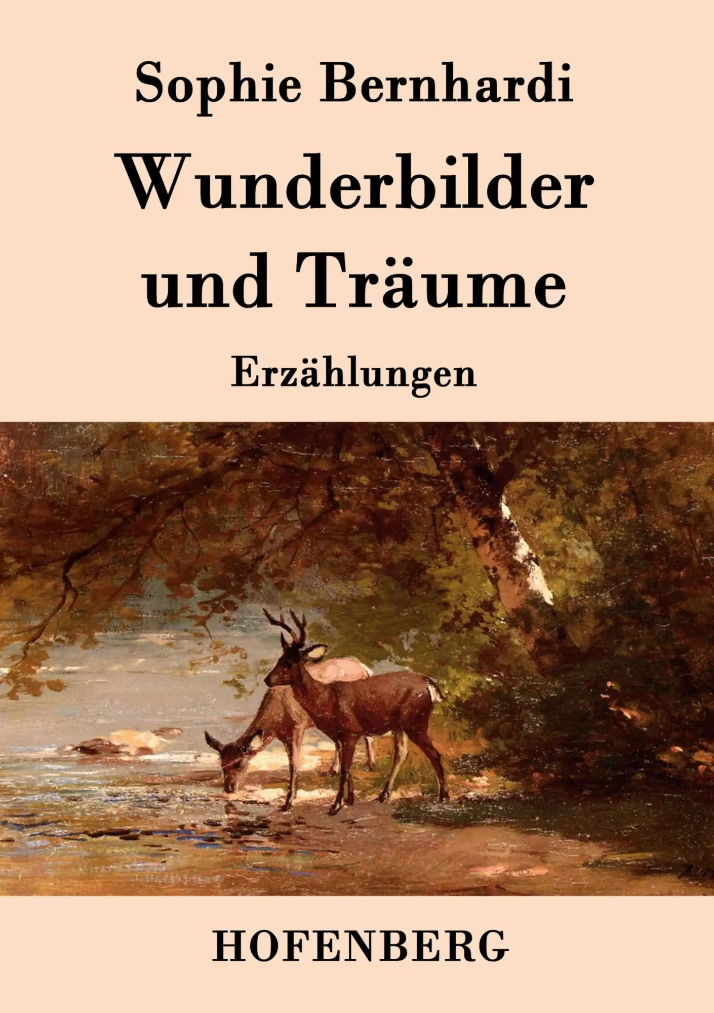 Cover: 9783843079525 | Wunderbilder und Träume | Erzählungen | Sophie Bernhardi | Taschenbuch