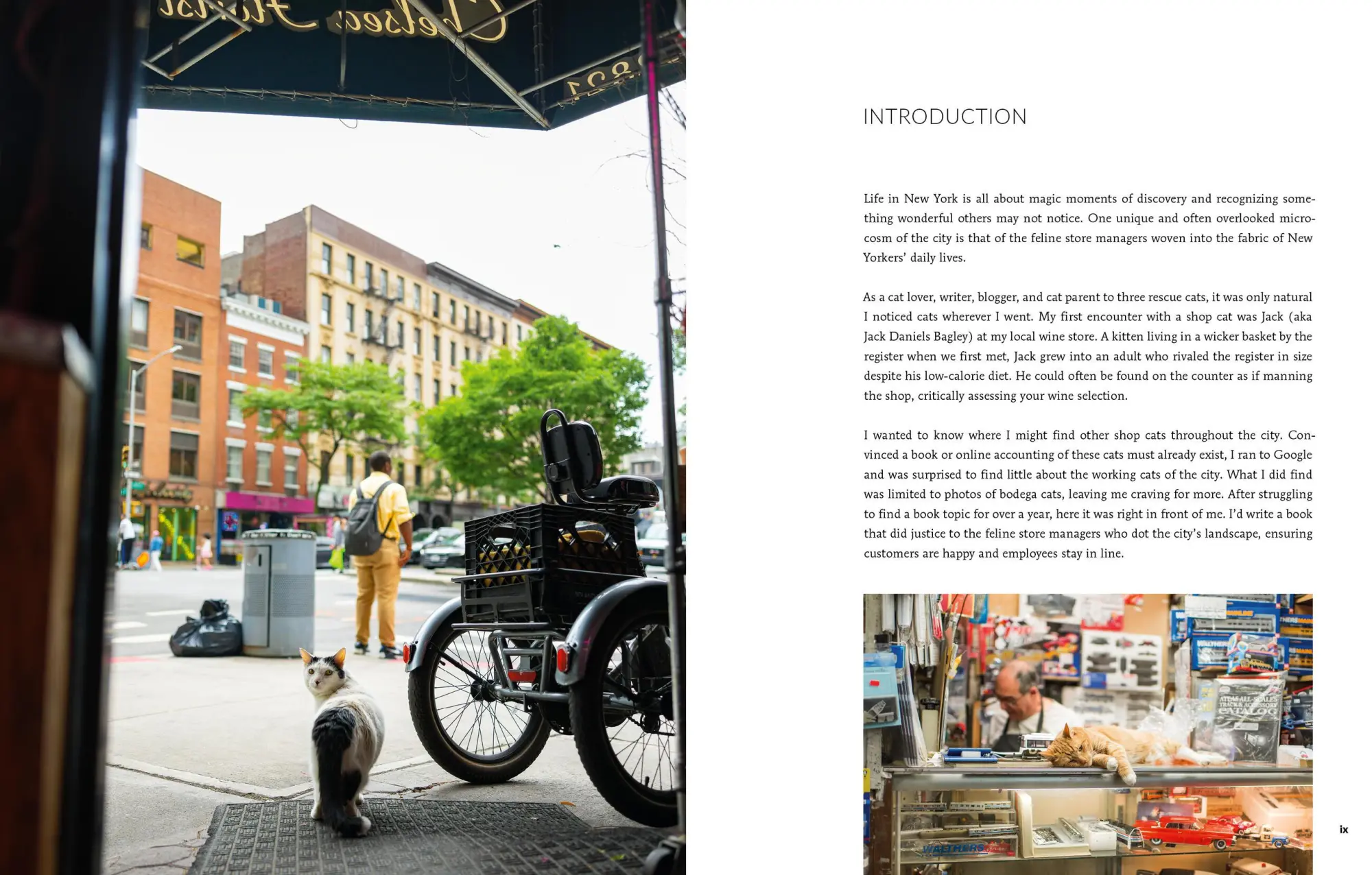 Bild: 9780762489725 | Shop Cats of New York (Revised and Expanded) | Andrew Marttila (u. a.)