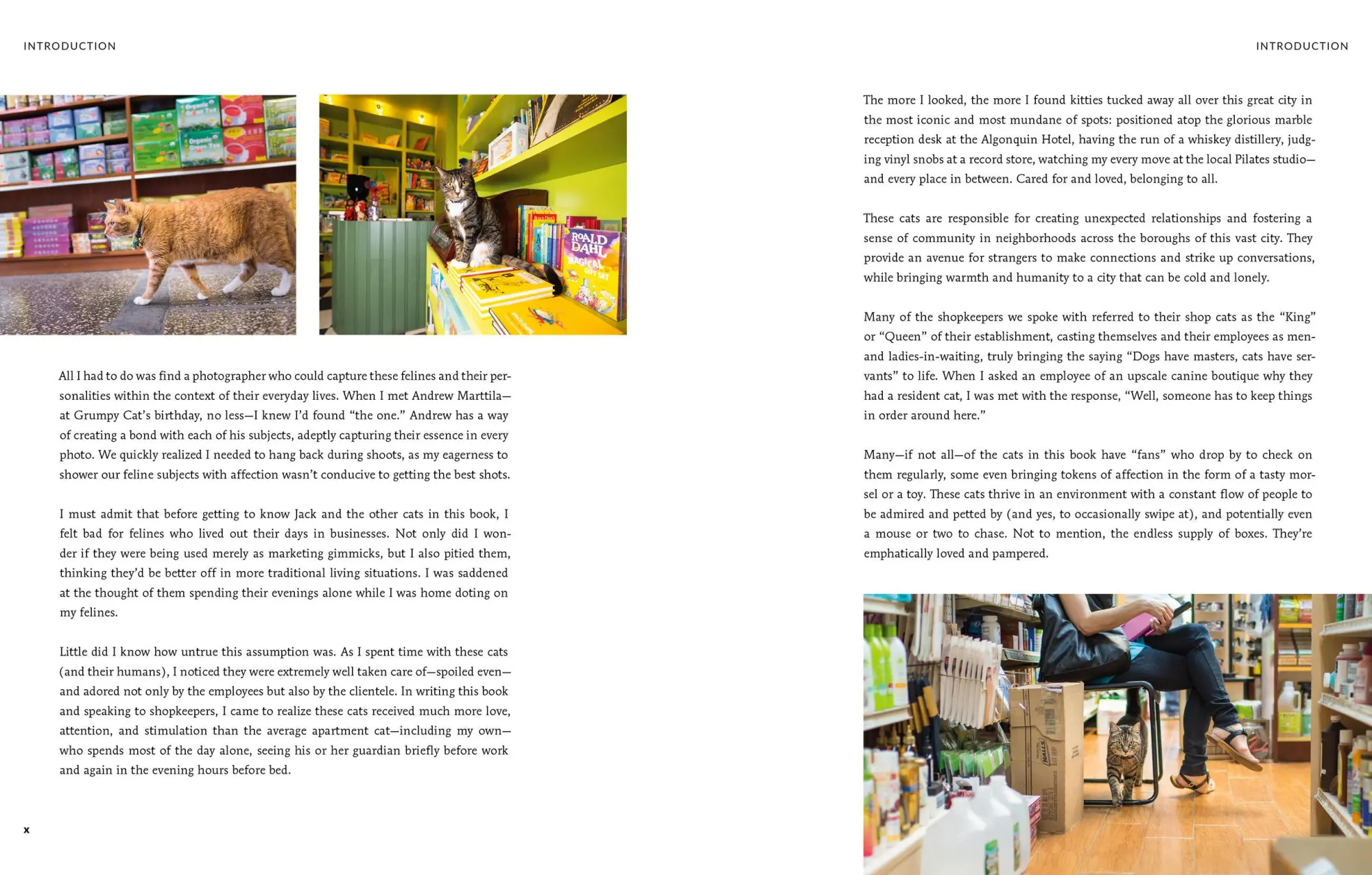 Bild: 9780762489725 | Shop Cats of New York (Revised and Expanded) | Andrew Marttila (u. a.)