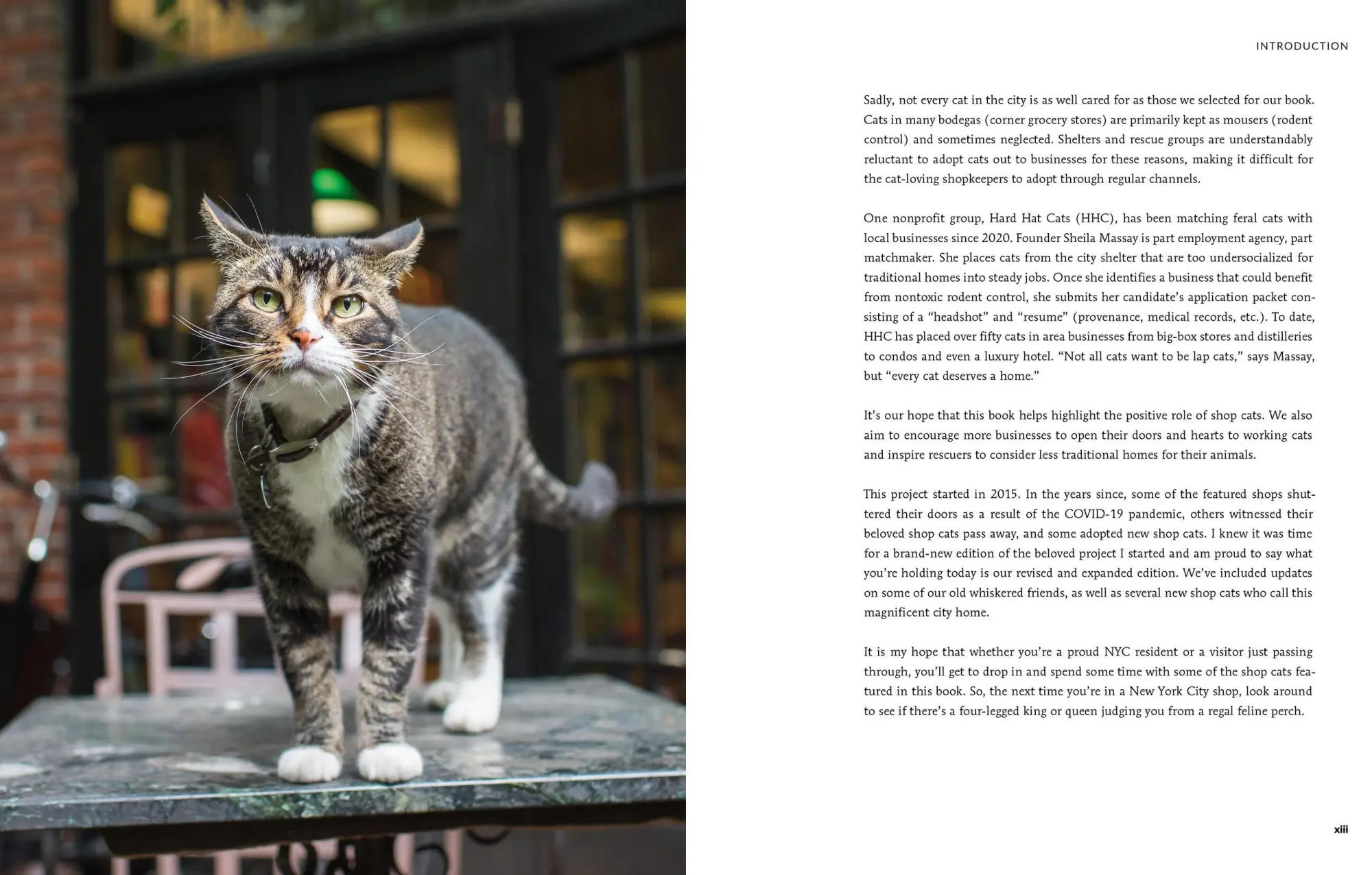 Bild: 9780762489725 | Shop Cats of New York (Revised and Expanded) | Andrew Marttila (u. a.)