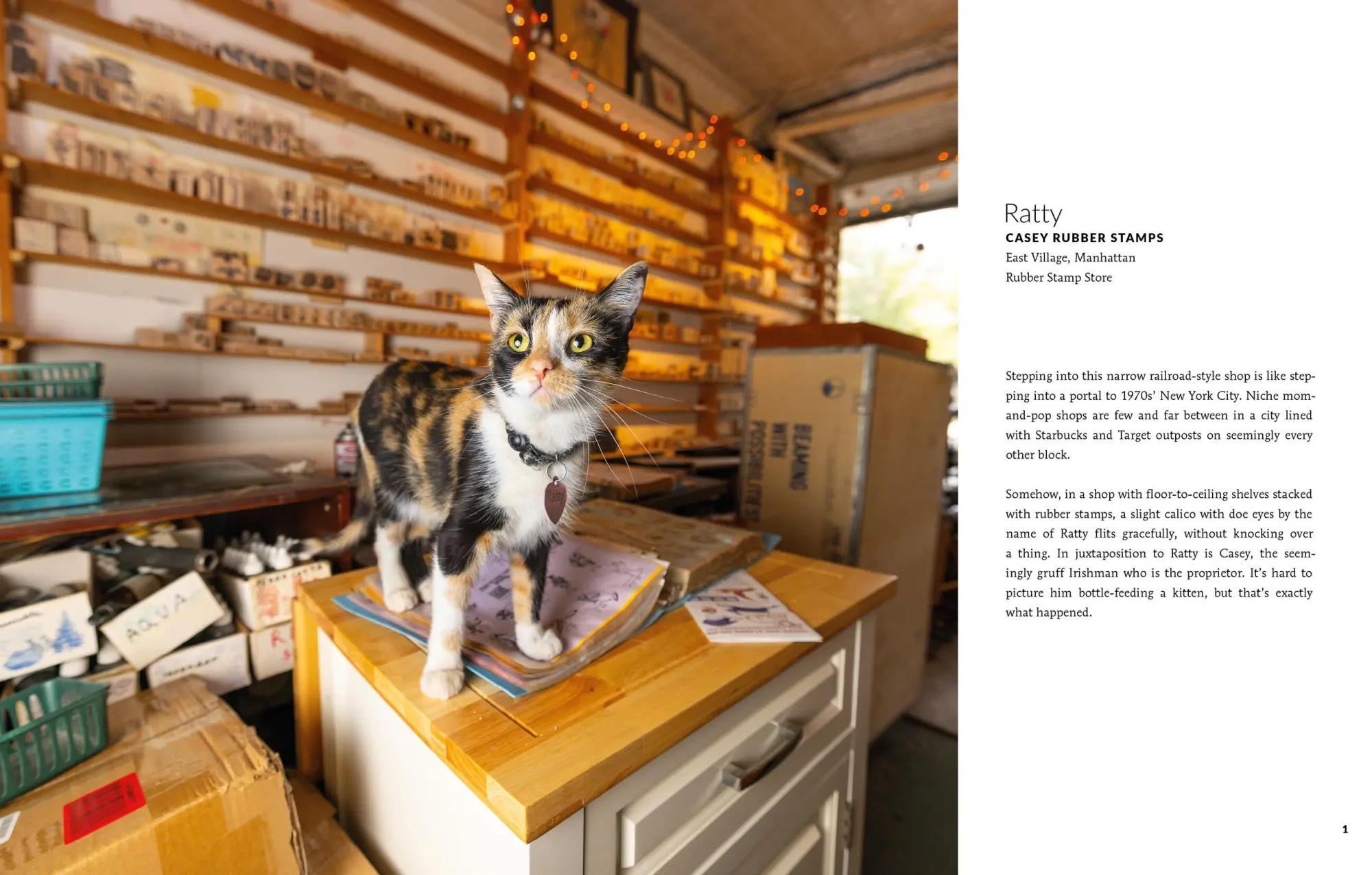 Bild: 9780762489725 | Shop Cats of New York (Revised and Expanded) | Andrew Marttila (u. a.)