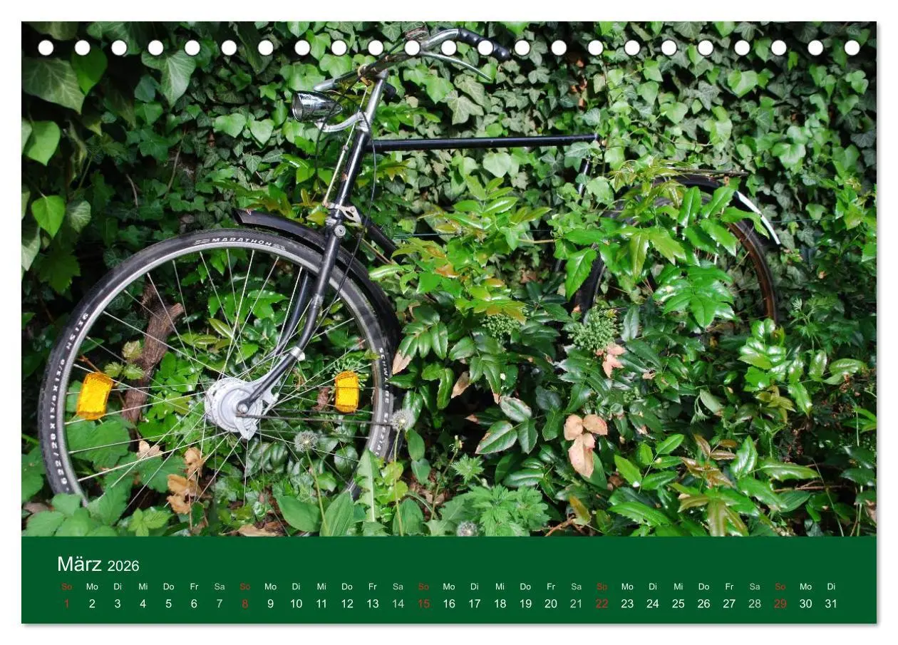 Bild: 9783516119725 | Das Fahrrad 2026 (Tischkalender 2026 DIN A5 quer), CALVENDO...