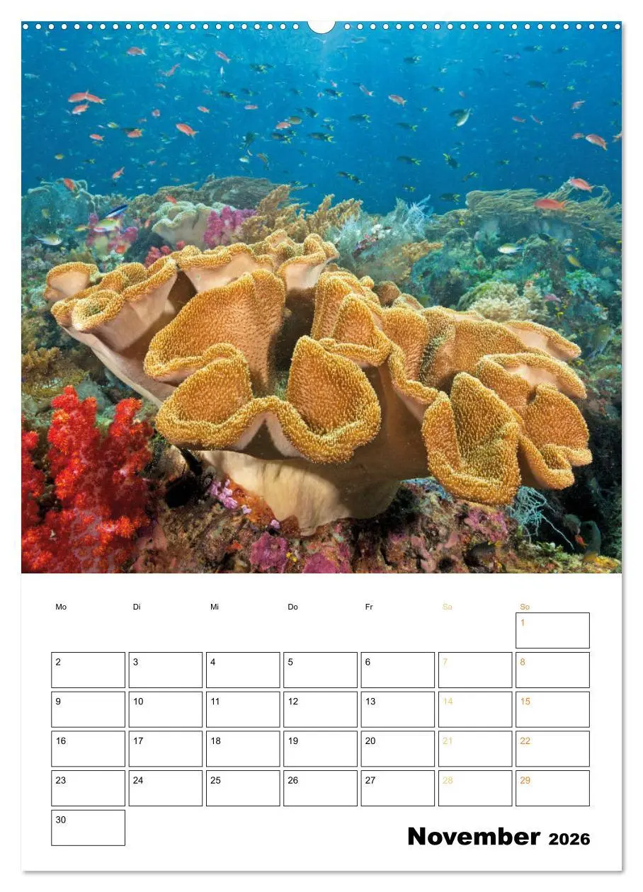 Bild: 9783516599725 | Farbrausch unter Wasser: Fische am Riff (hochwertiger Premium...