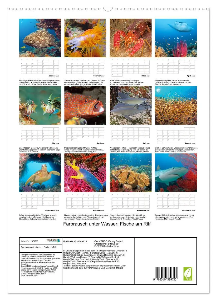 Bild: 9783516599725 | Farbrausch unter Wasser: Fische am Riff (hochwertiger Premium...