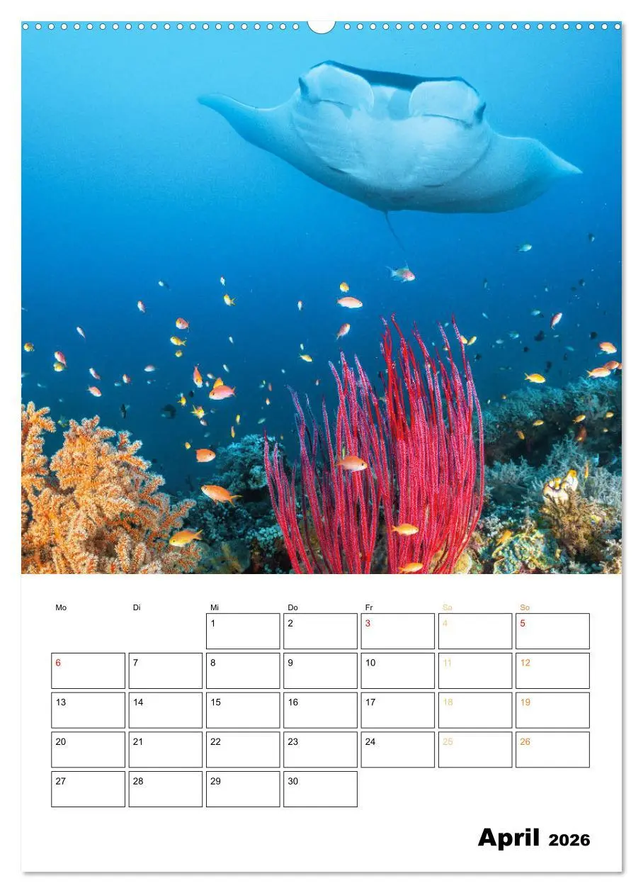 Bild: 9783516599725 | Farbrausch unter Wasser: Fische am Riff (hochwertiger Premium...