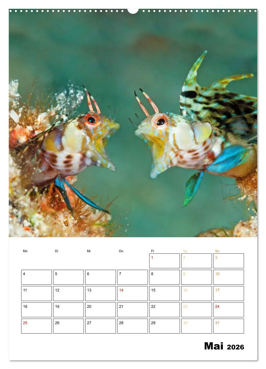 Bild: 9783516599725 | Farbrausch unter Wasser: Fische am Riff (hochwertiger Premium...