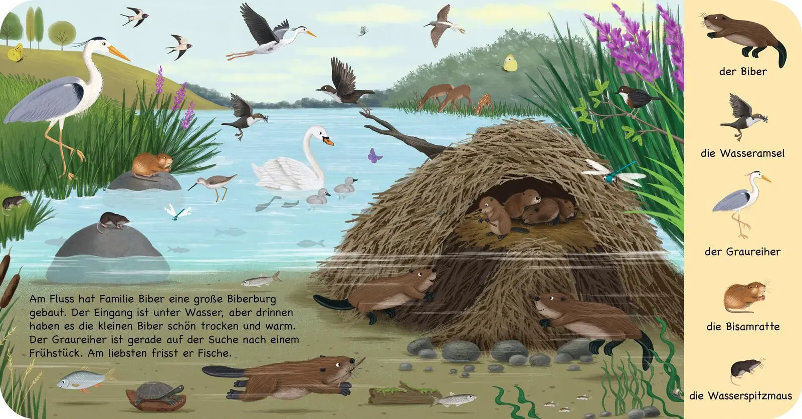 Bild: 9783480239825 | Mein erstes Natur-Wimmelbuch: Tiere am Wasser - Mini-Ausgabe | Buch