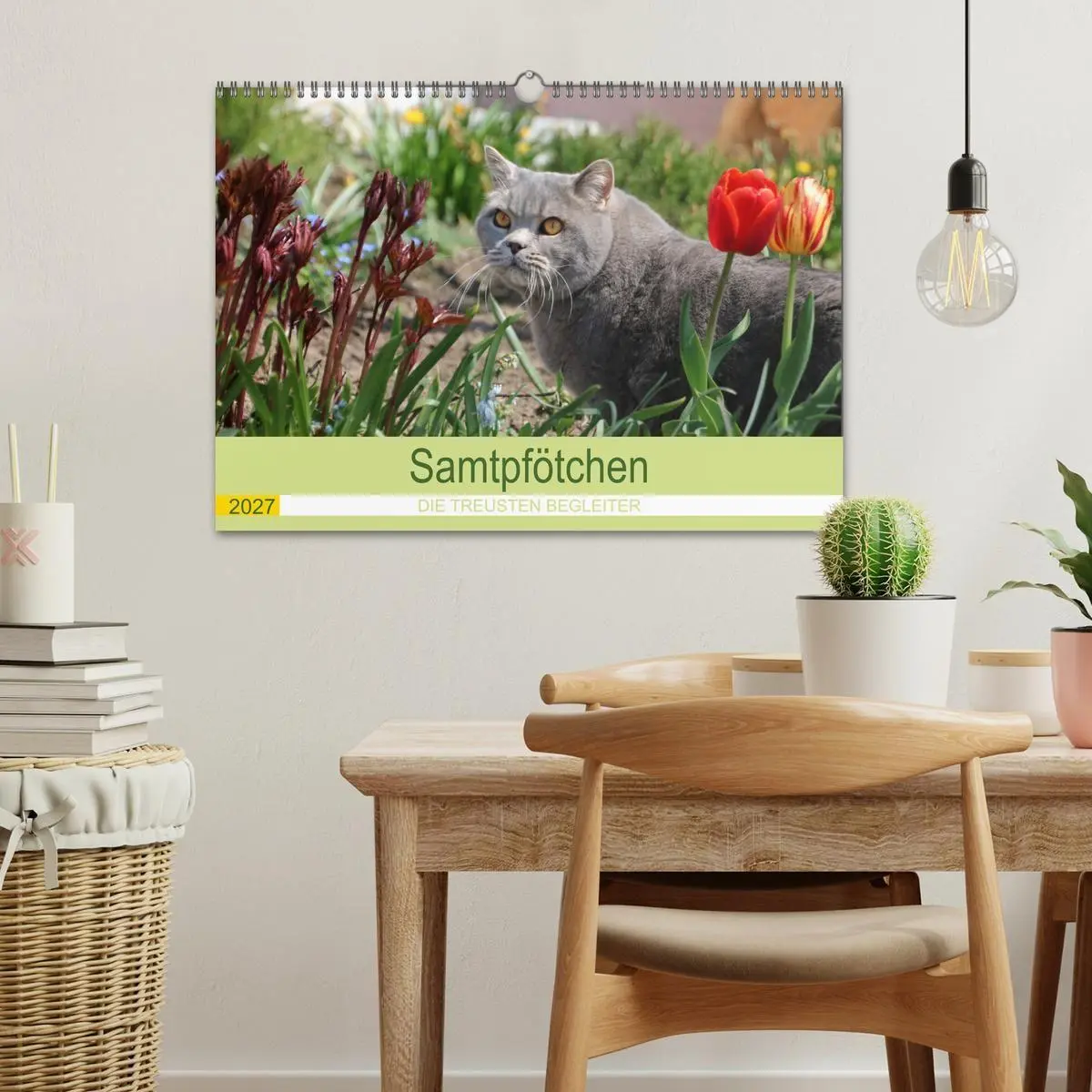 Bild: 9783569509825 | Samtpfötchen - Die treusten Begleiter 2027 (Wandkalender 2027 DIN...