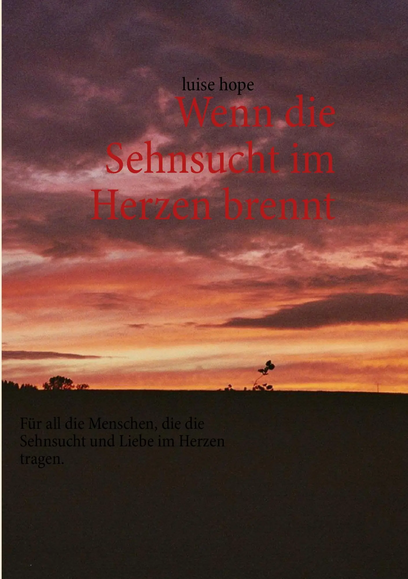 Cover: 9783732239825 | Wenn die Sehnsucht im Herzen brennt | Luise Hope | Taschenbuch | 2013
