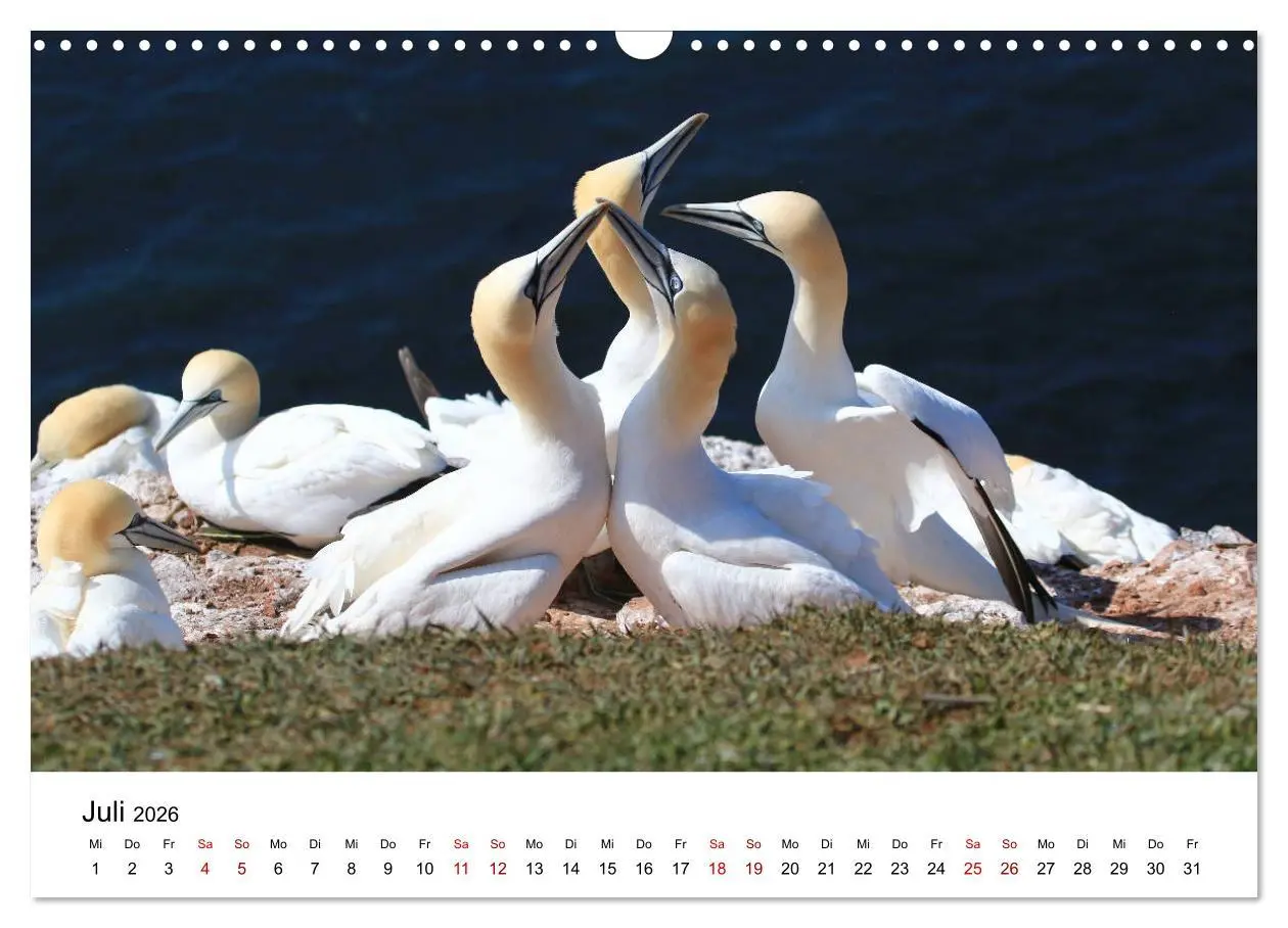 Bild: 9783457869925 | Deutsche Hochseeinsel Helgoland (Wandkalender 2026 DIN A3 quer),...