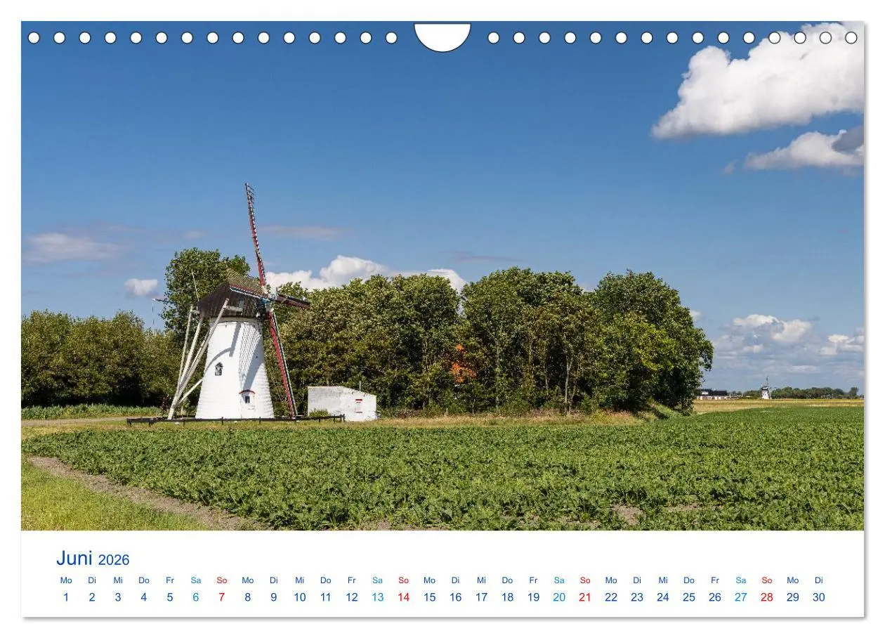 Bild: 9783516649925 | Sommer in Seeland (Wandkalender 2026 DIN A4 quer), CALVENDO...