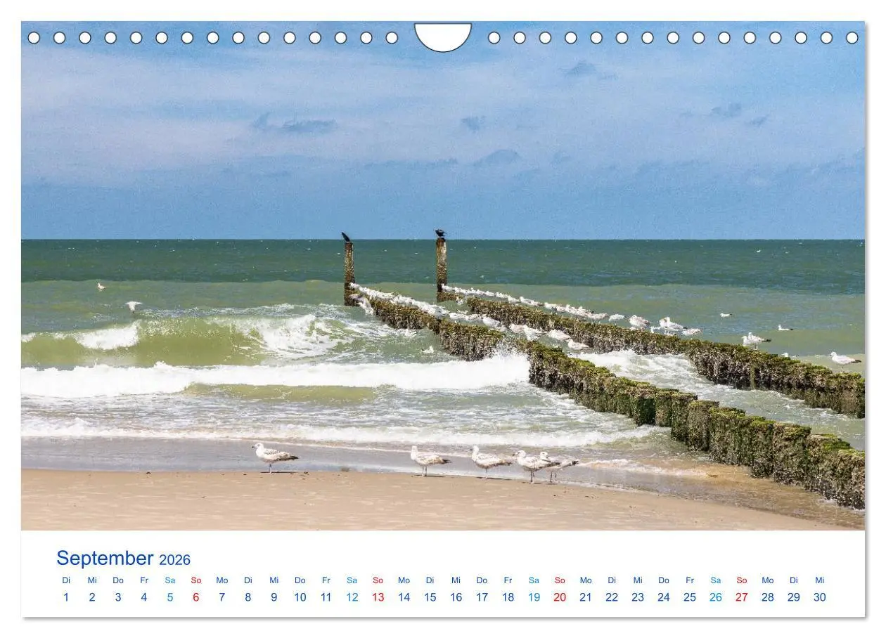 Bild: 9783516649925 | Sommer in Seeland (Wandkalender 2026 DIN A4 quer), CALVENDO...