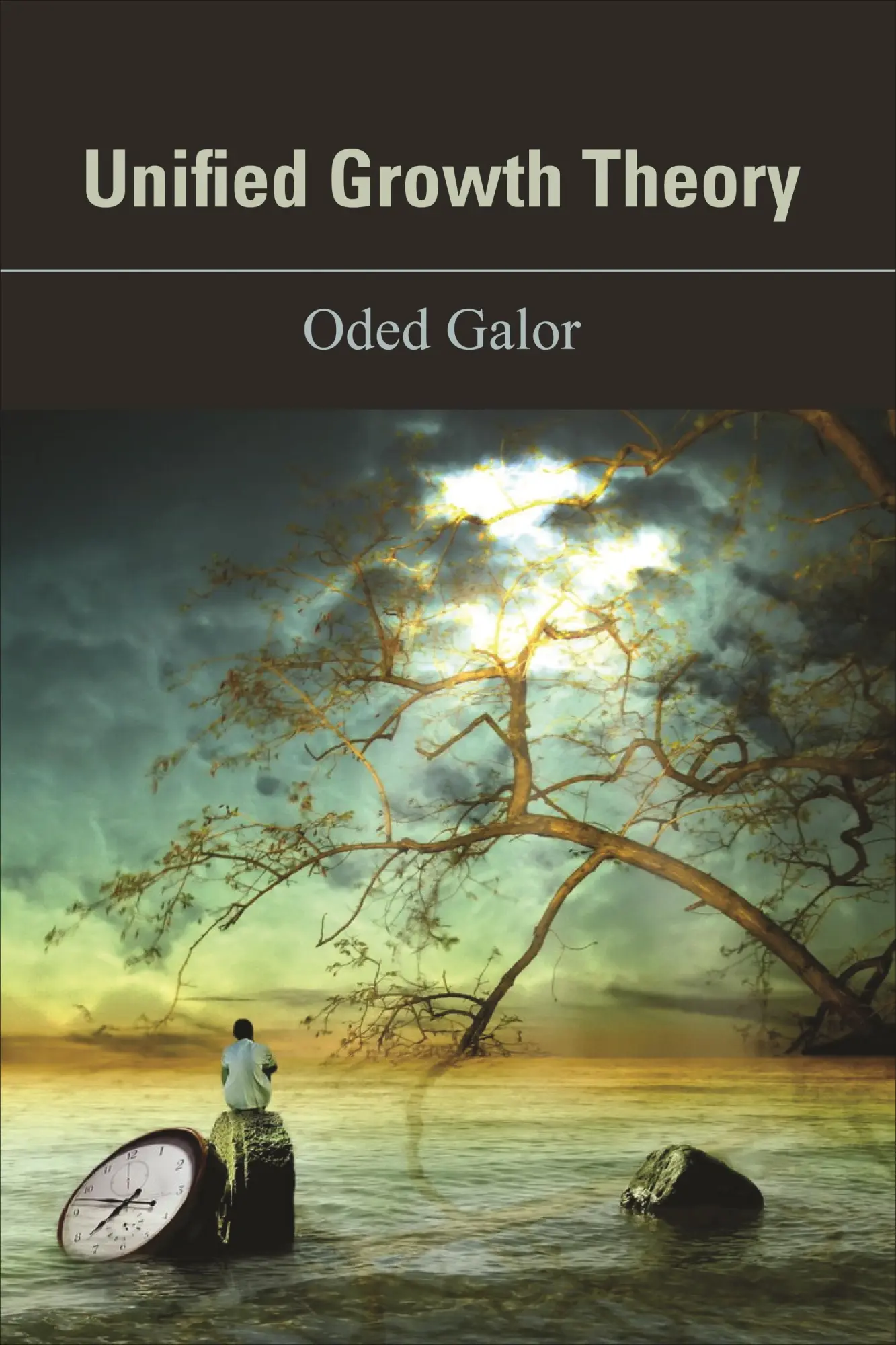 Cover: 9780691130026 | Unified Growth Theory | Oded Galor | Buch | Gebunden | Englisch | 2011
