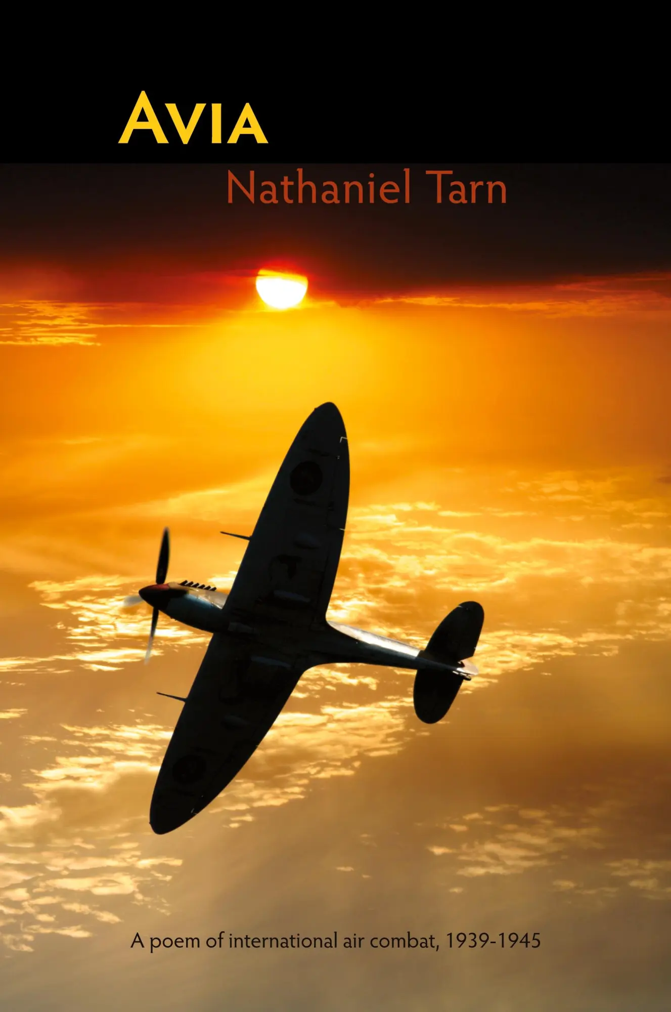 Cover: 9781848610026 | Avia | Nathaniel Tarn | Taschenbuch | Englisch | 2008