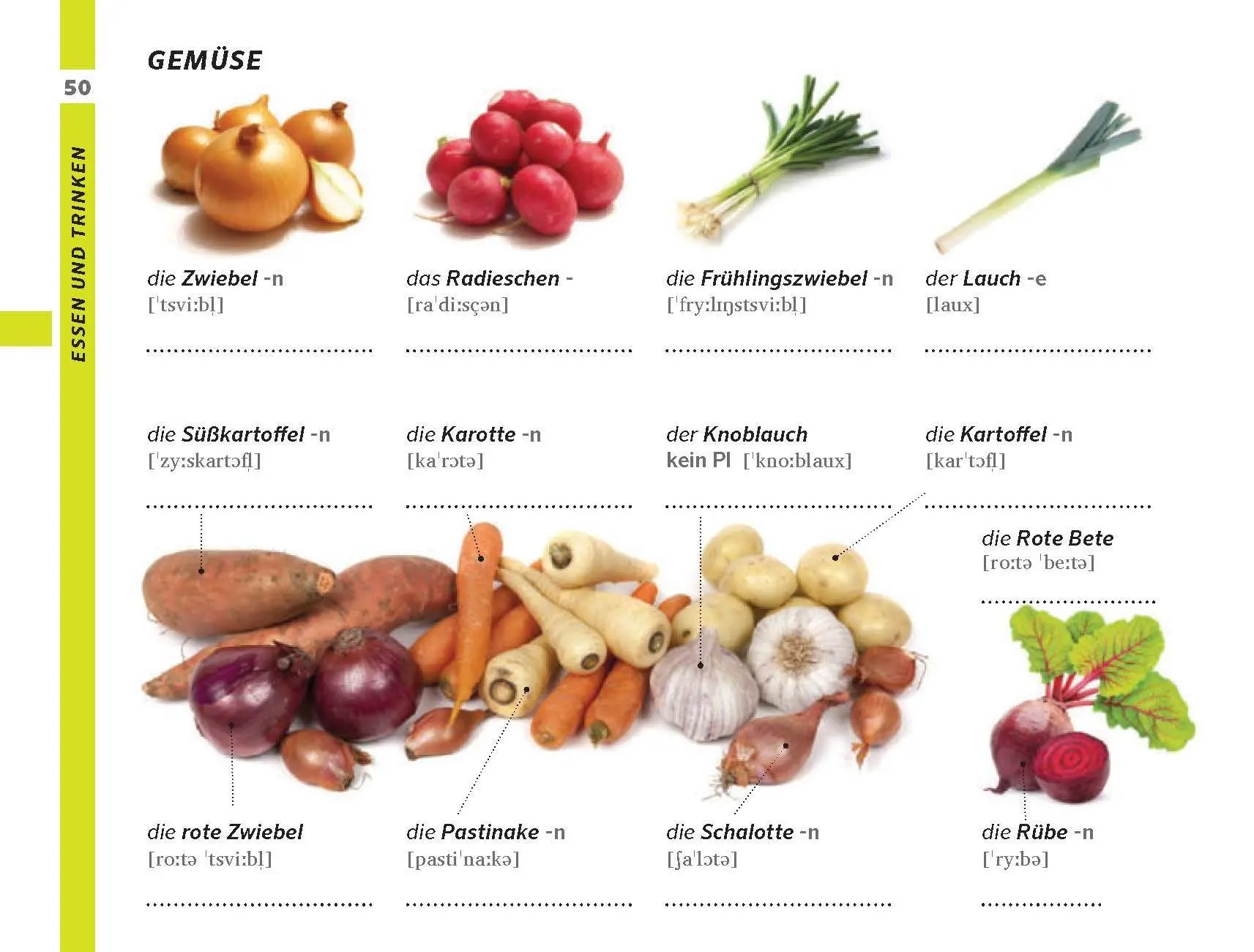 Bild: 9783125160026 | PONS Bildwörterbuch Deutsch als Fremdsprache | Taschenbuch | 144 S.