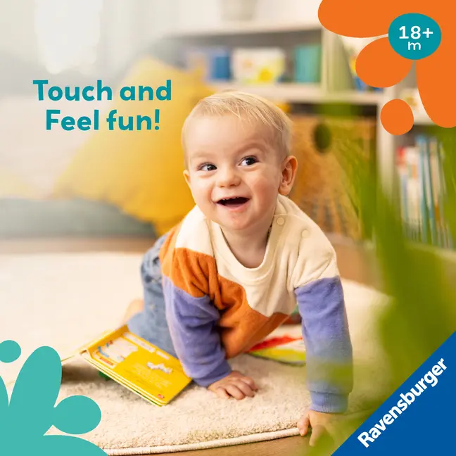 Bild: 9783380970026 | Play+ Are you a lion like me? | Kathrin Lena Orso | Buch | Play+