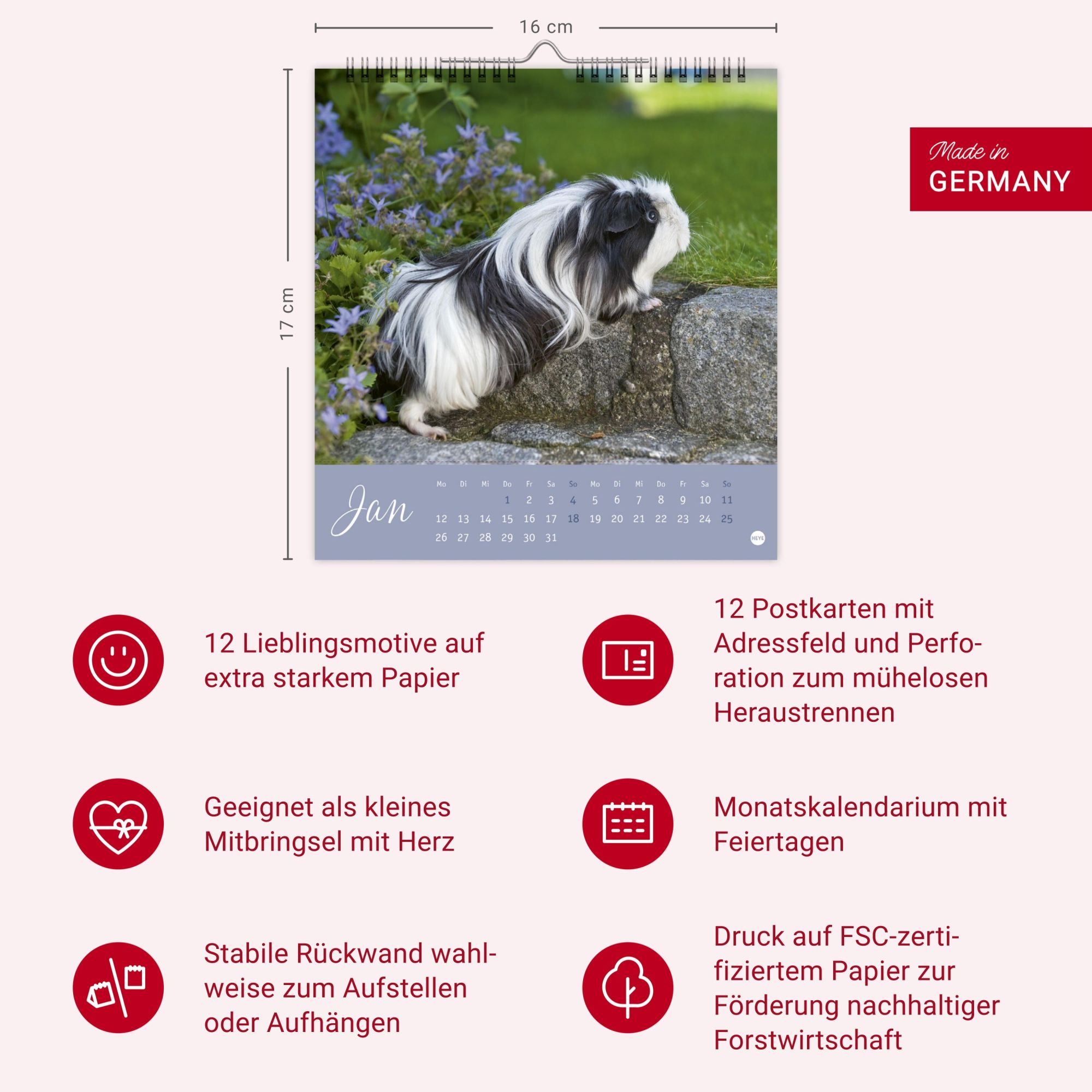 Bild: 9783756410026 | Kuschelige Meerschweinchen Postkartenkalender 2026 | Monika Wegler