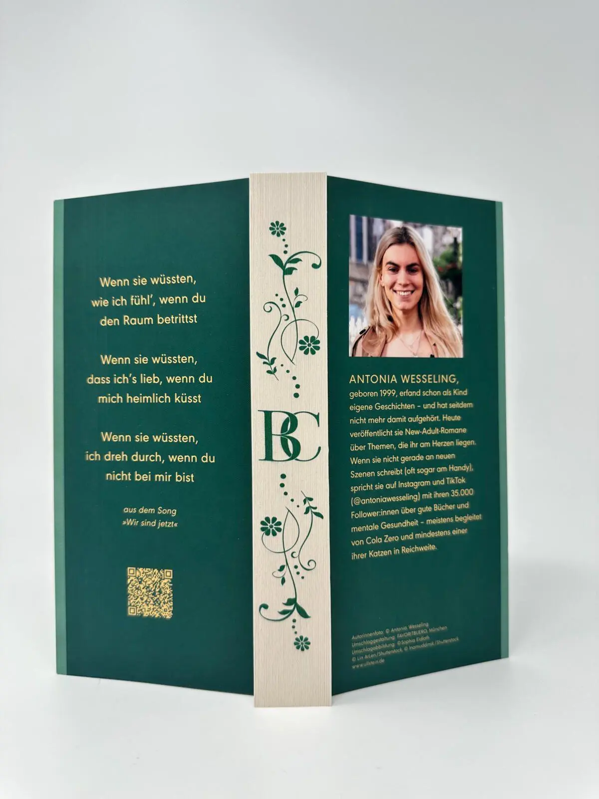 Bild: 9783989780026 | Les Bouttiers - Wir sind alles | Antonia Wesseling | Taschenbuch