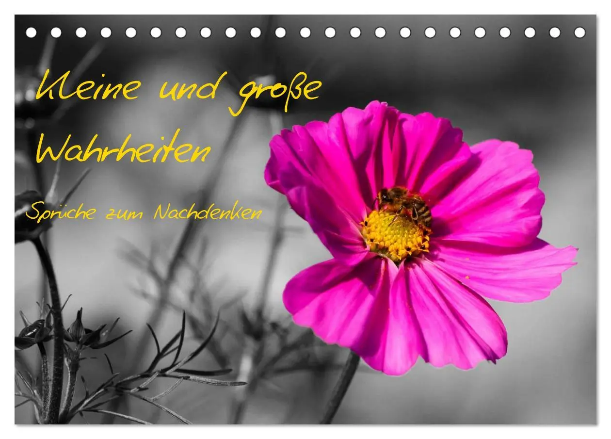 Cover: 9783516200126 | Kleine und große Wahrheiten - Sprüche zum Nachdenken (Tischkalender...