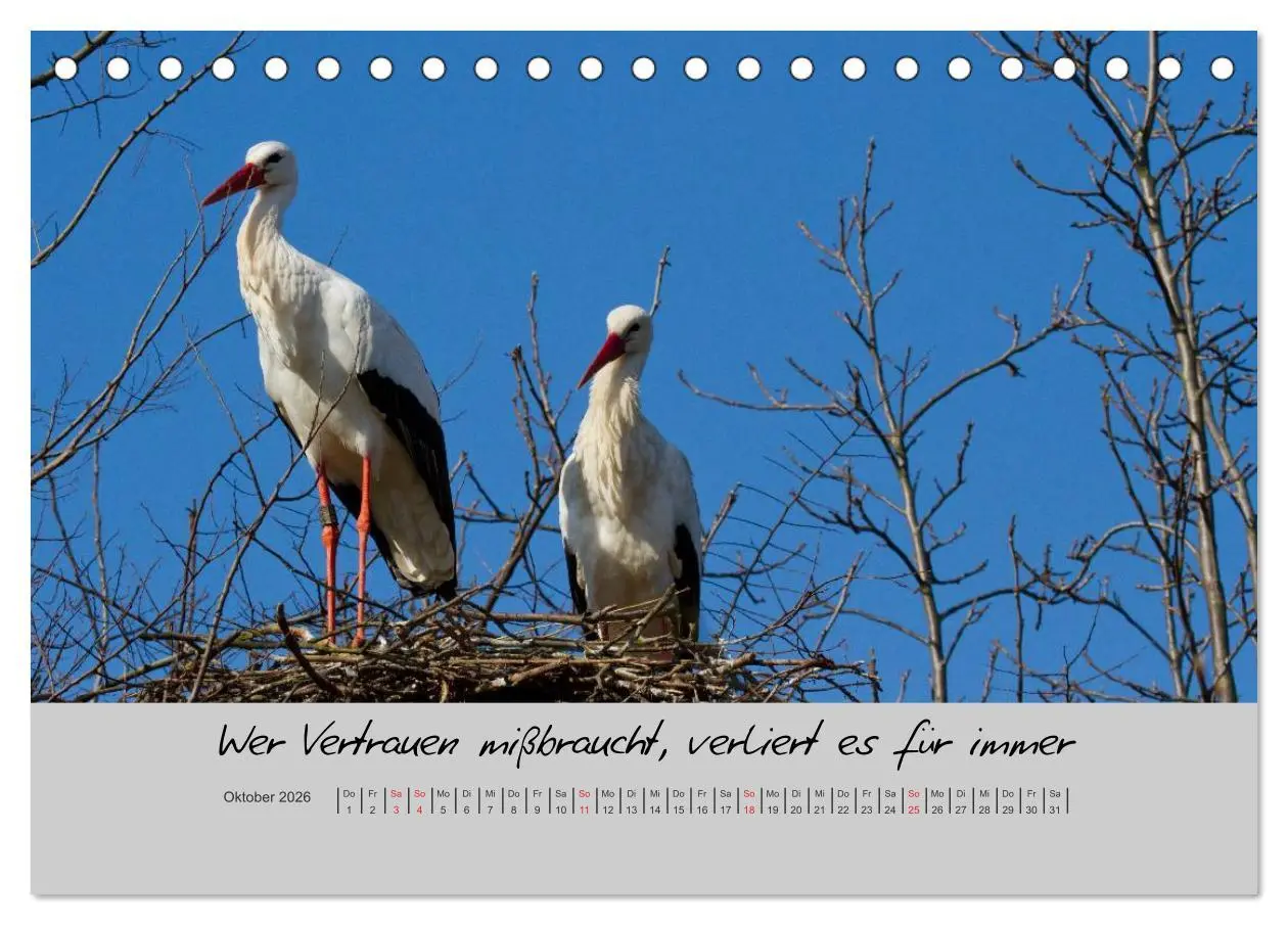 Bild: 9783516200126 | Kleine und große Wahrheiten - Sprüche zum Nachdenken (Tischkalender...