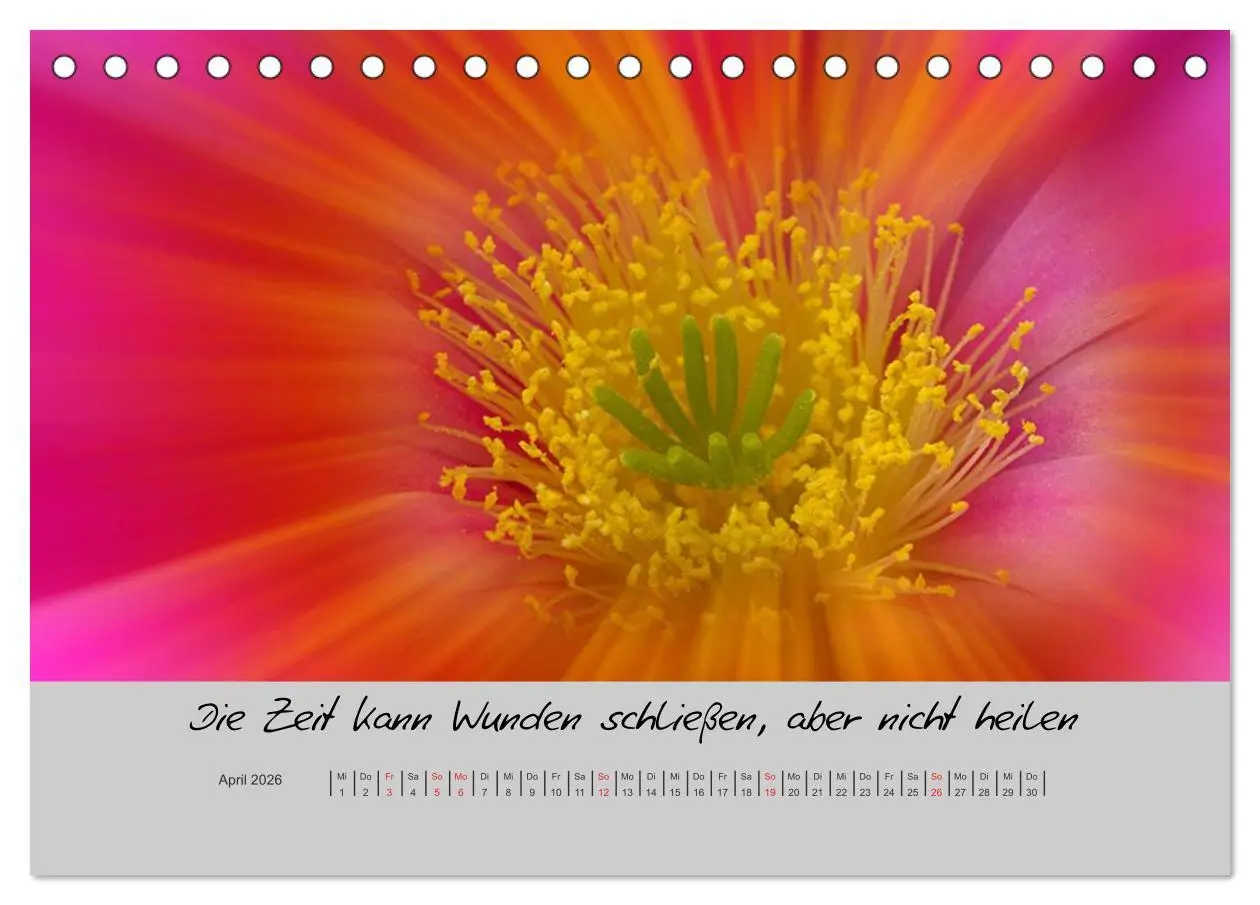 Bild: 9783516200126 | Kleine und große Wahrheiten - Sprüche zum Nachdenken (Tischkalender...
